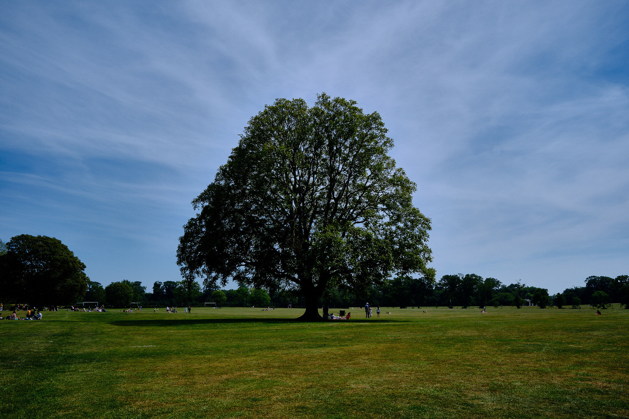 Malahide _DSF0282.jpg