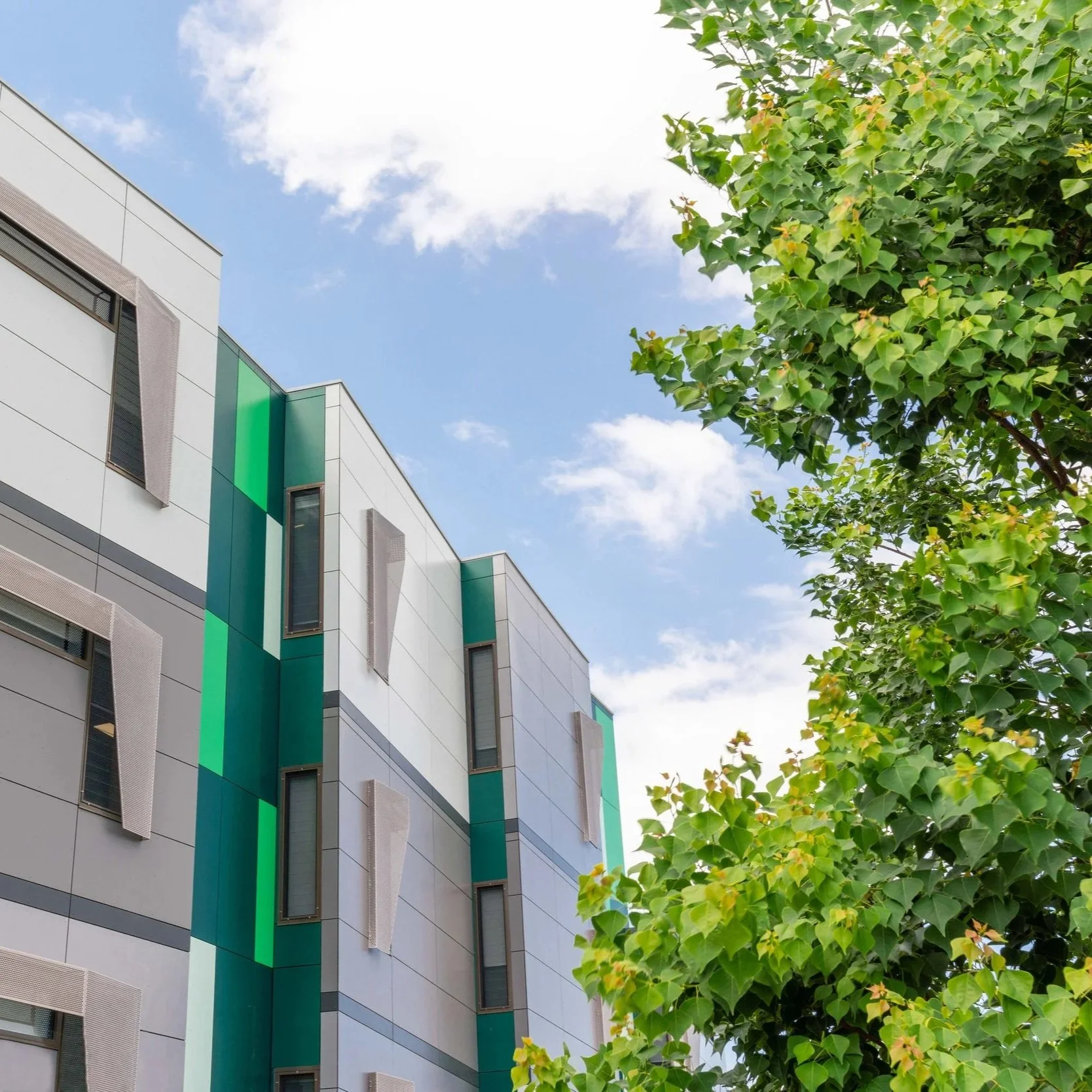 St Patricks Marist College / Dundas