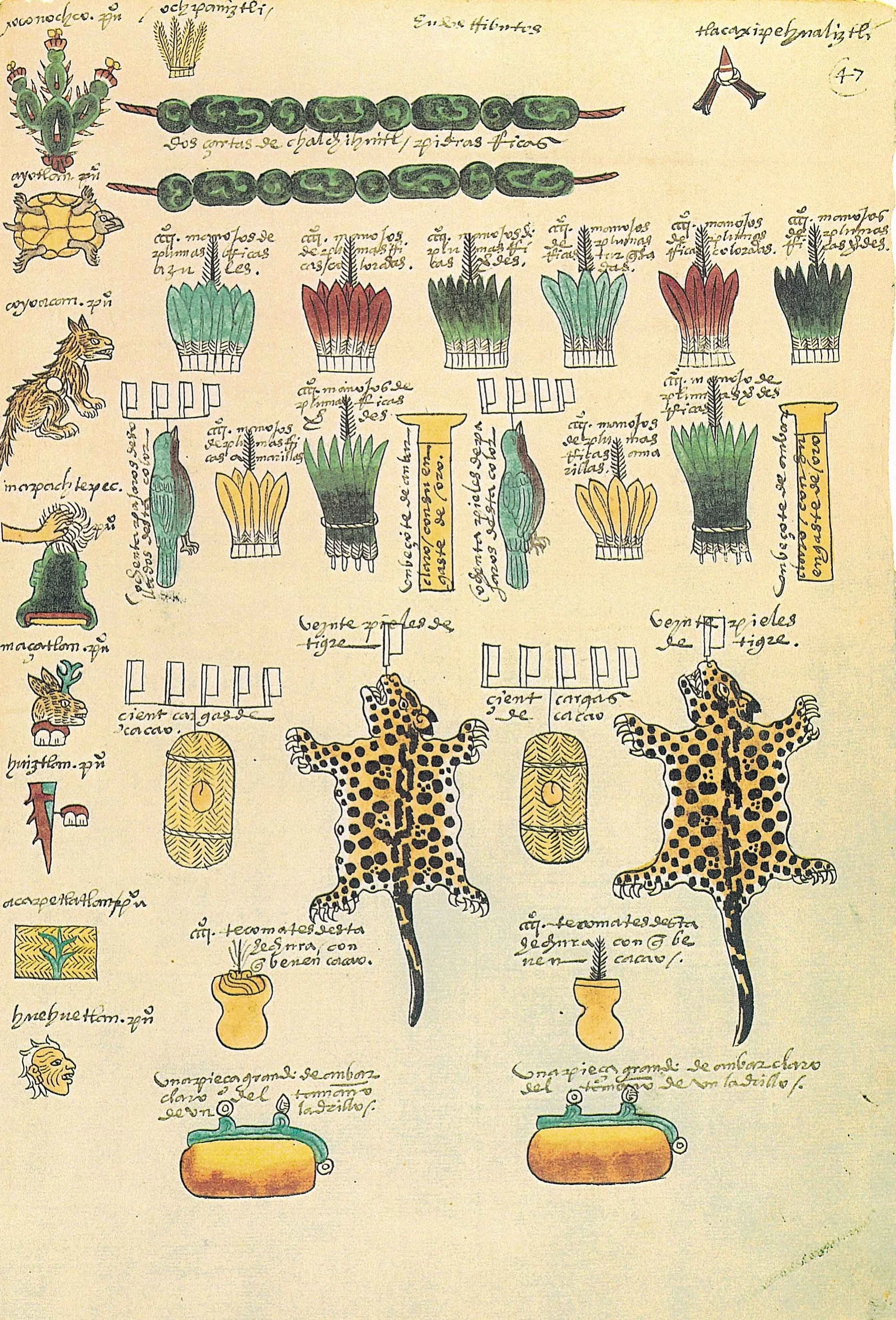 1920px-Codex_Mendoza_folio_47r.jpg