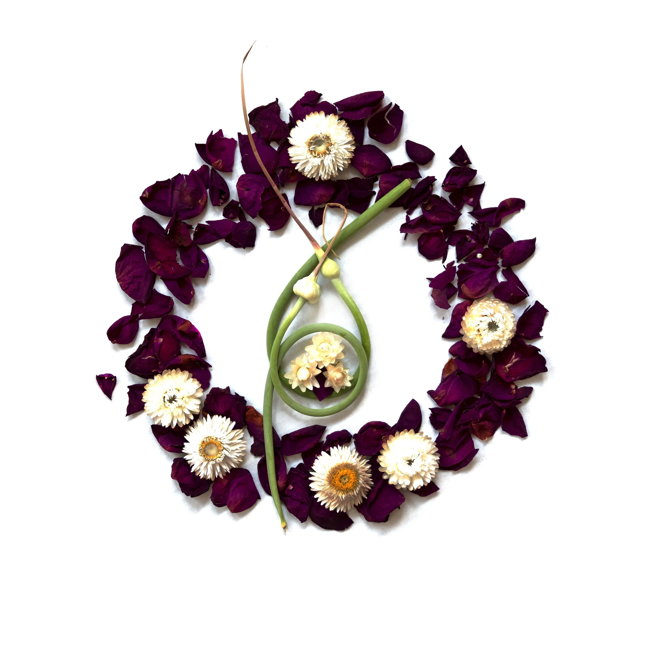 EcoArt Wellness Workshop: Recentering, with Beth Adoette (new date)