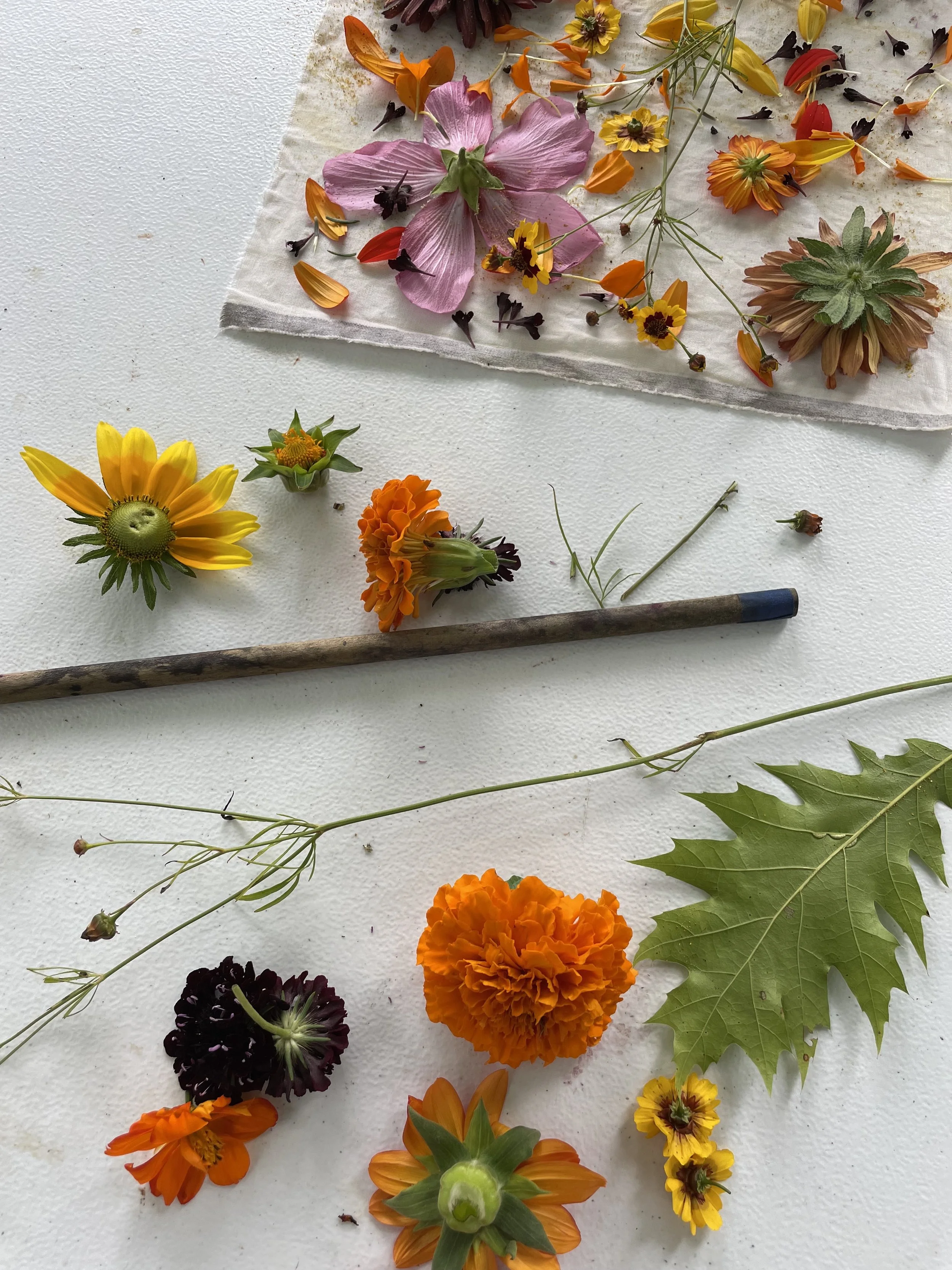 Ecoprinting with Teach Peace Prints (June 24)