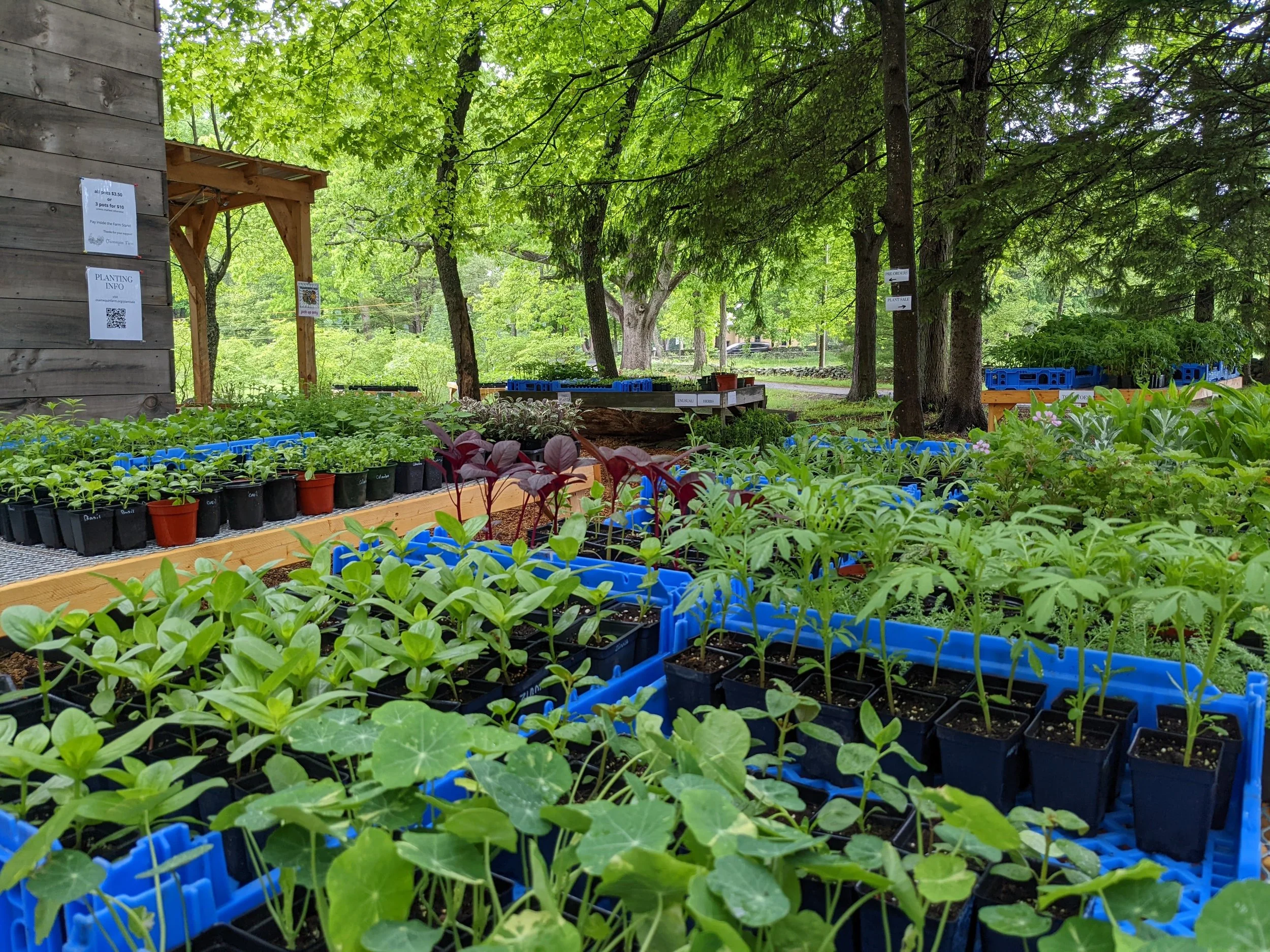 Plant Sale Weekend