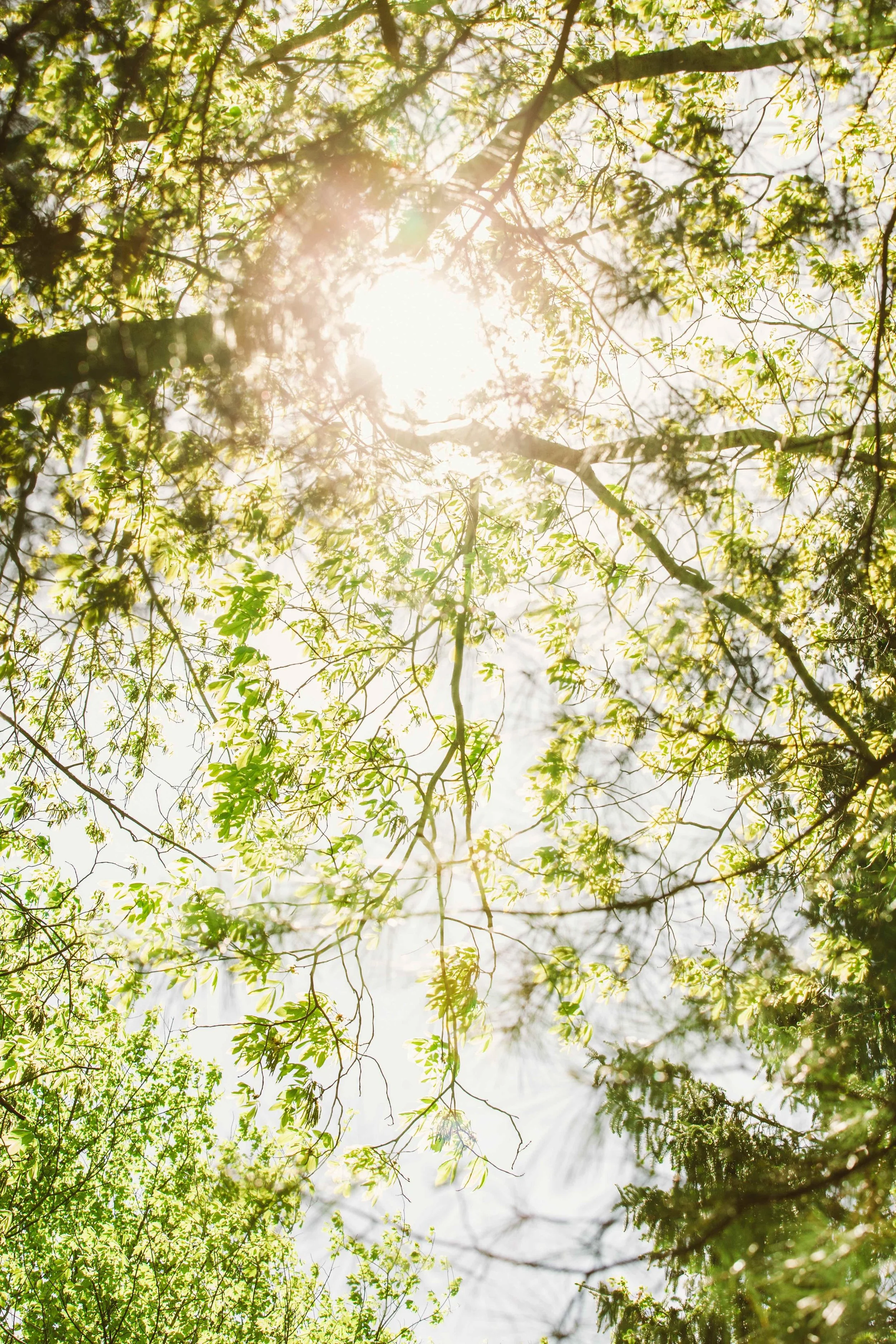 Community Conversation (April 1)