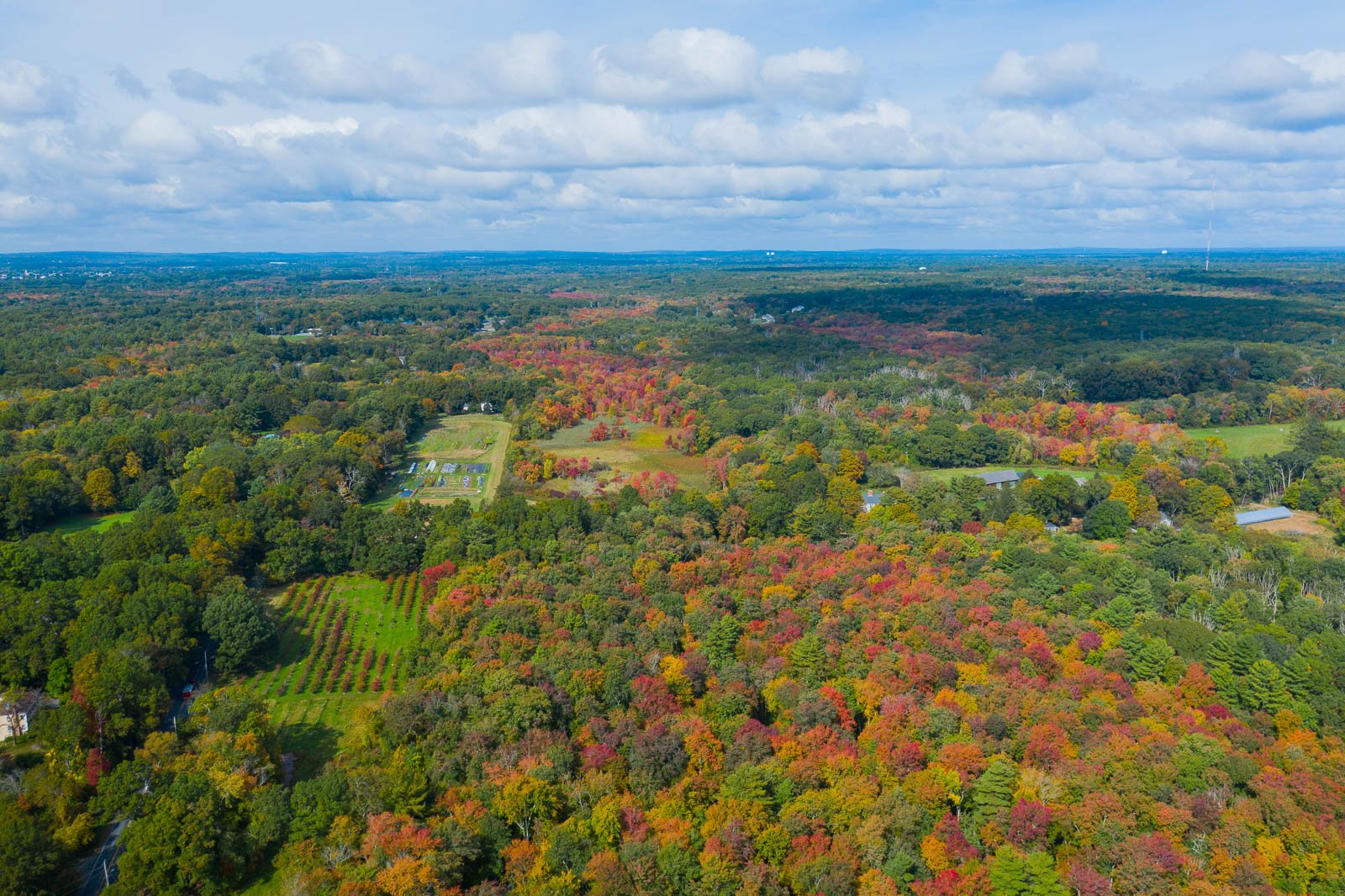 fall view over forest.jpg