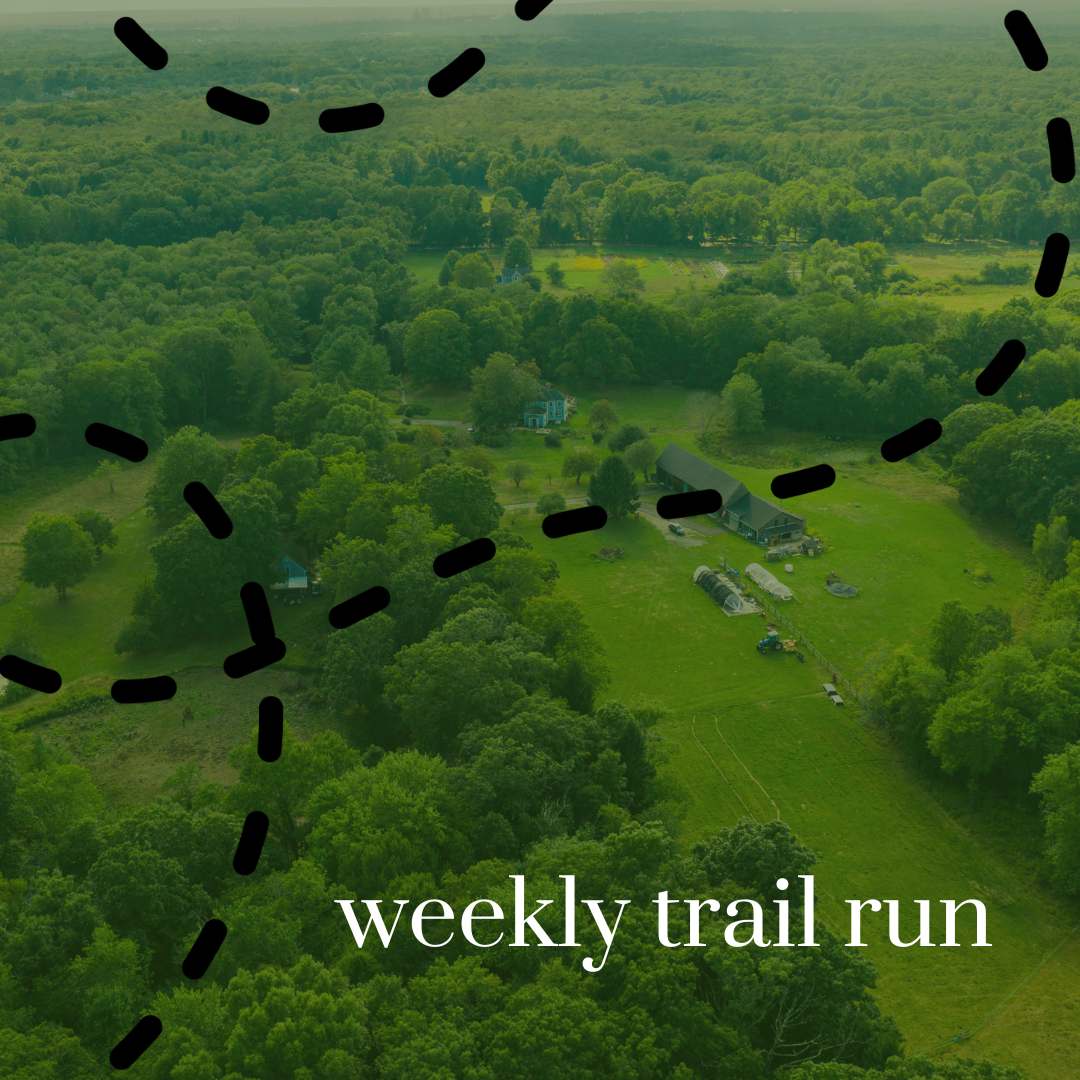 Weekly Trail Run (Sundays)