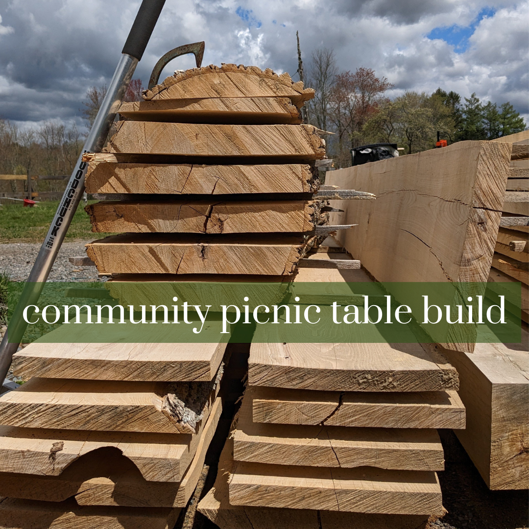 Community Woodworking: Picnic Table Build Day (June 18)