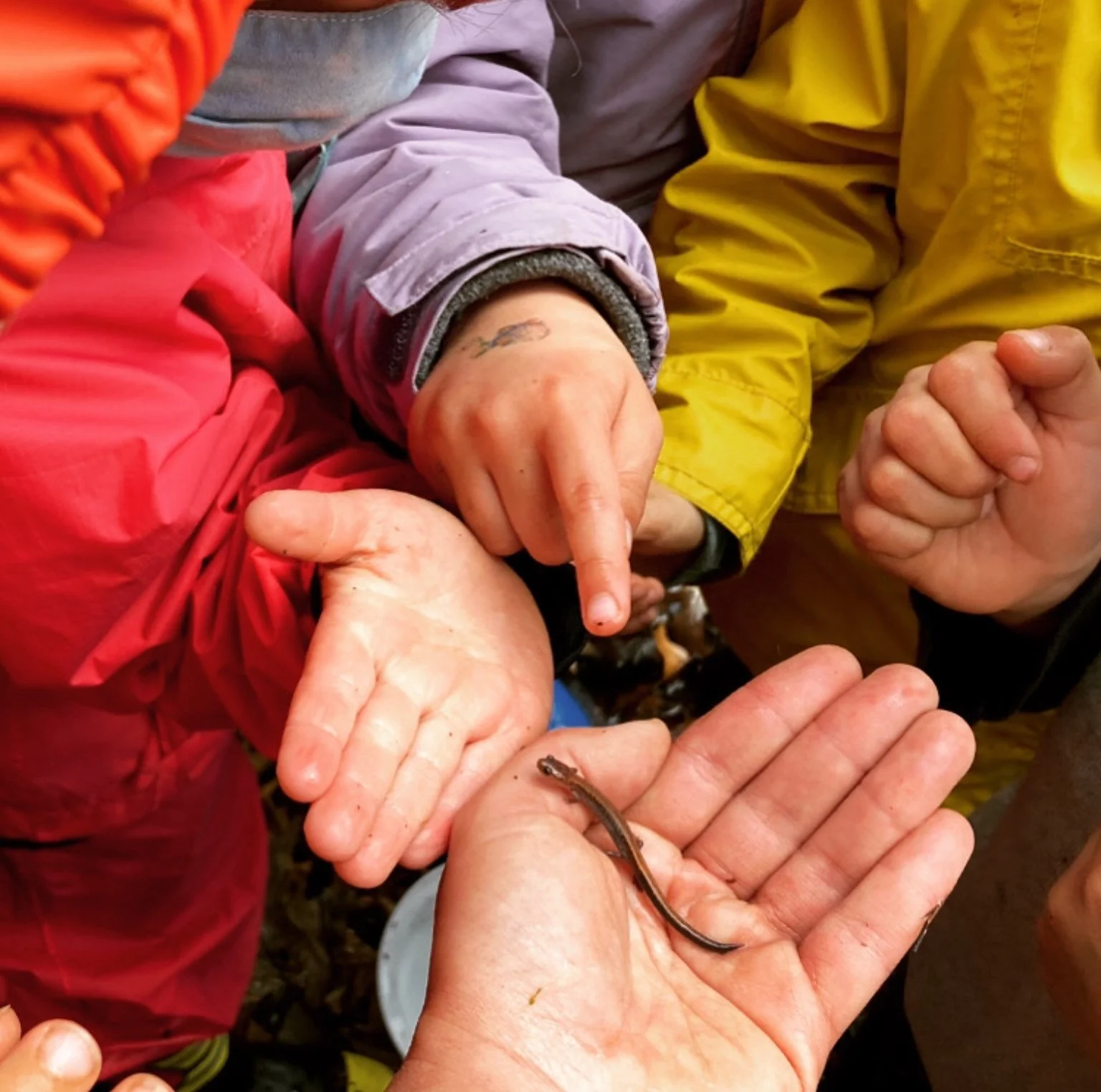 RSVP for Snail Trails Nature Play (winter session)