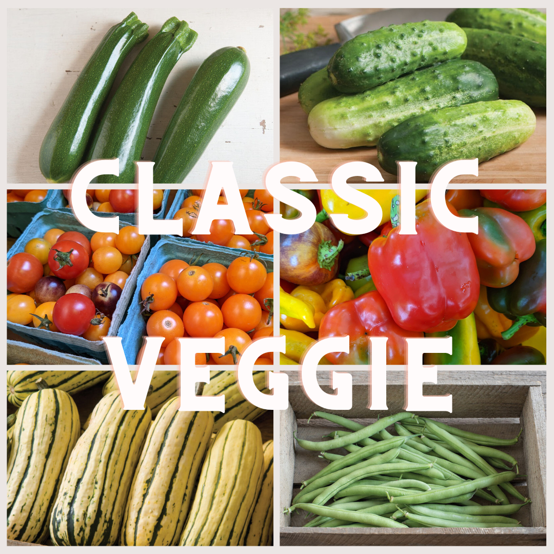 kit classic veg.png