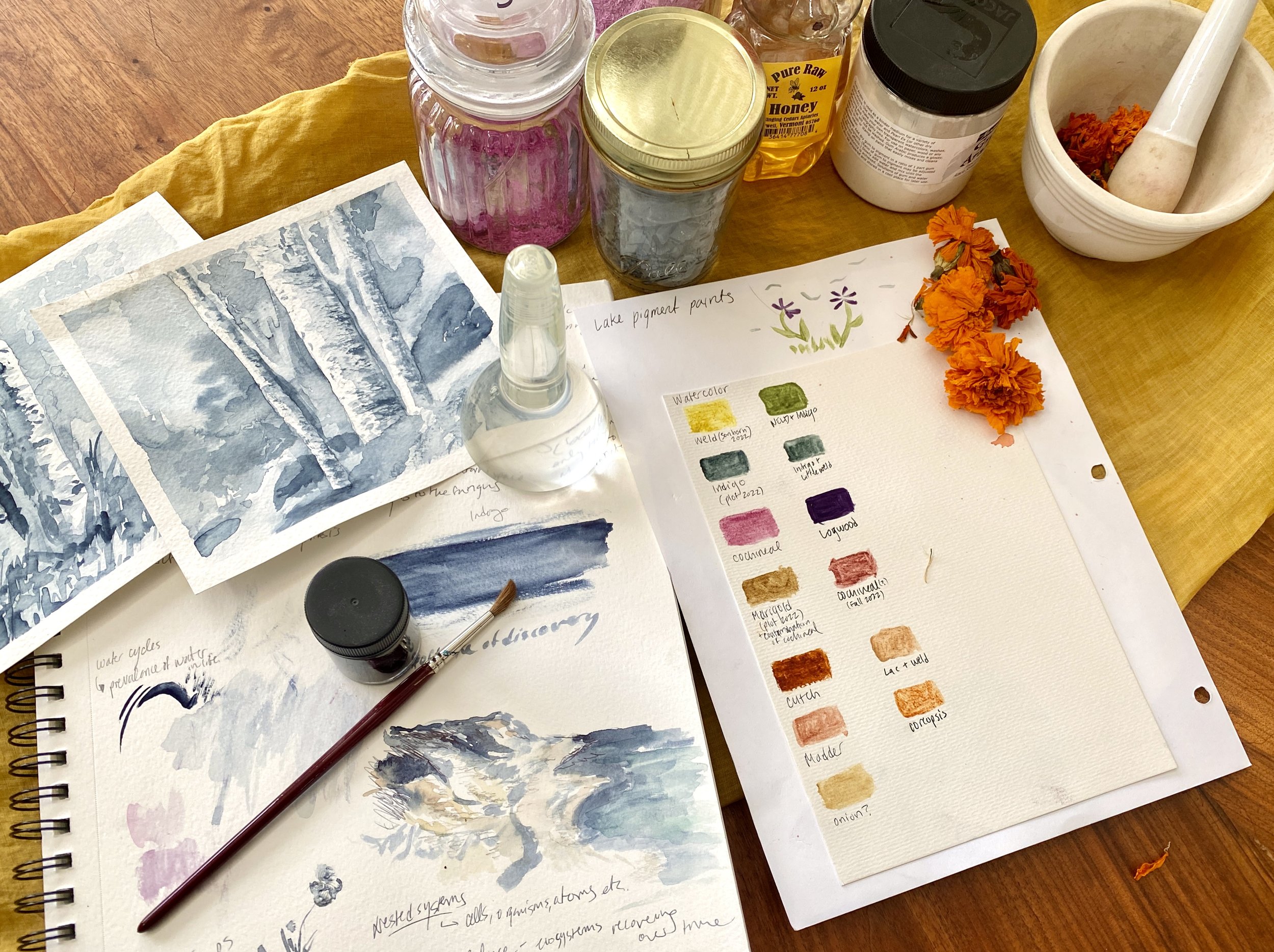 Paints from Grown and Foraged Plants (Aug 11)