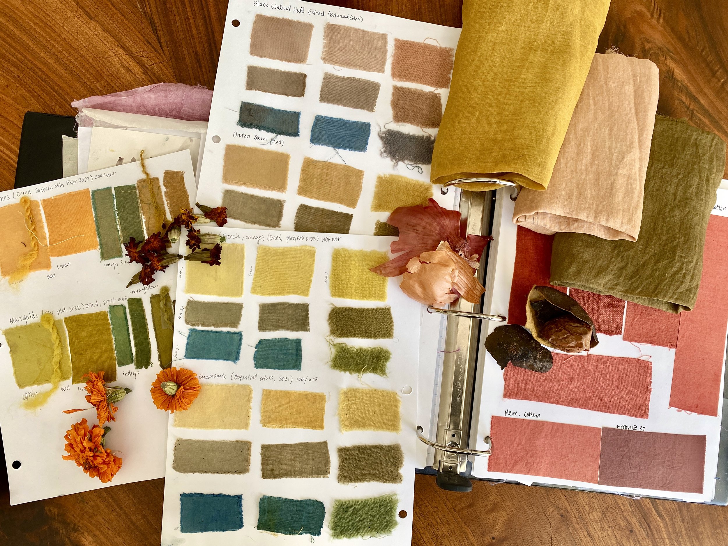 Basics of Natural Dyes.JPG