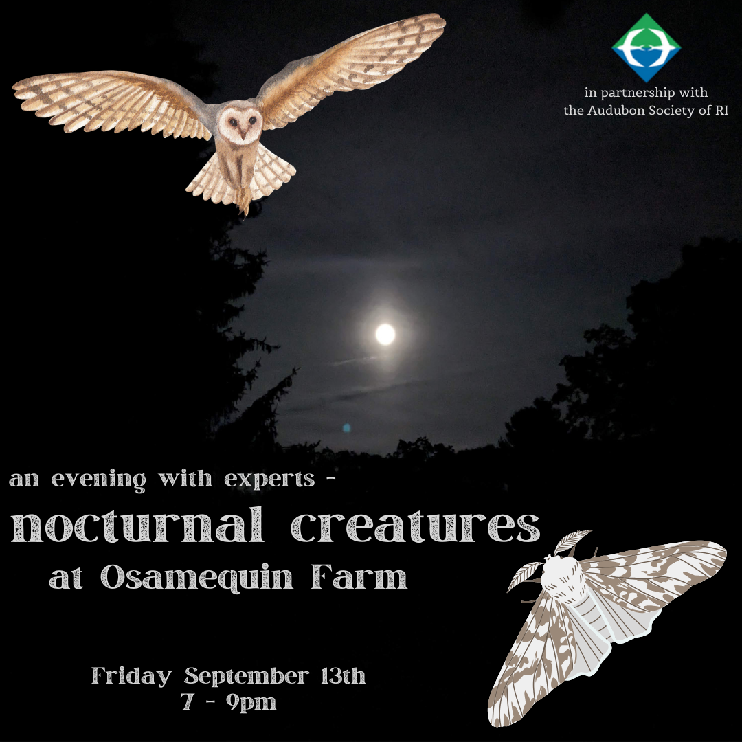 Nocturnal Creatures (Sept 13)
