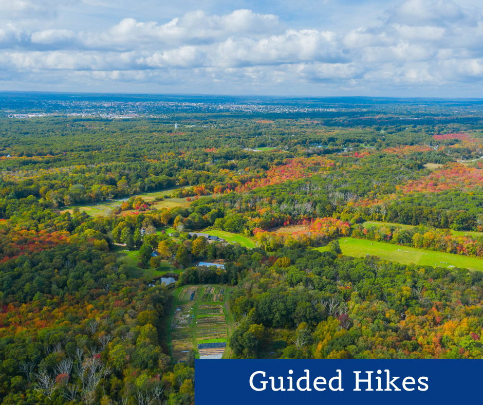 Annual Traditions 3.png