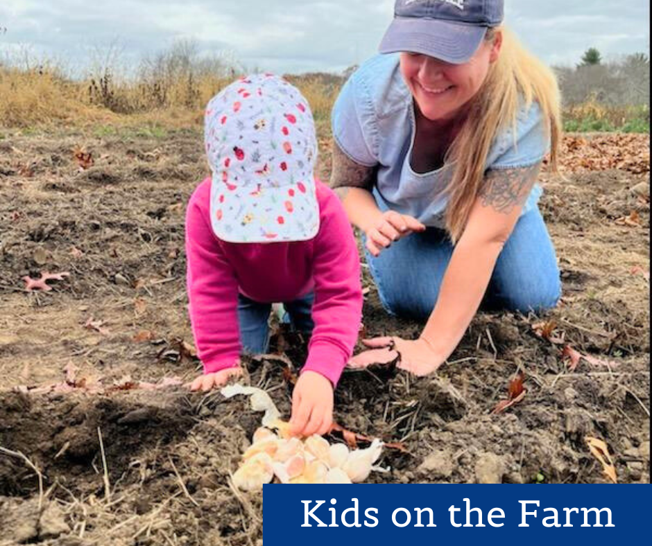 Annual Traditions 9.png