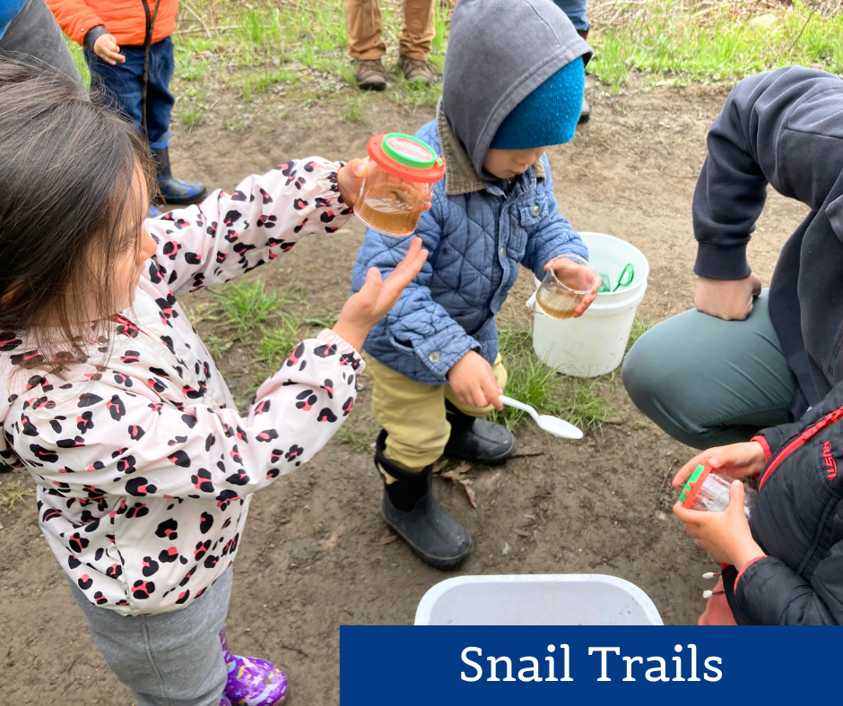 Annual Traditions 11.png