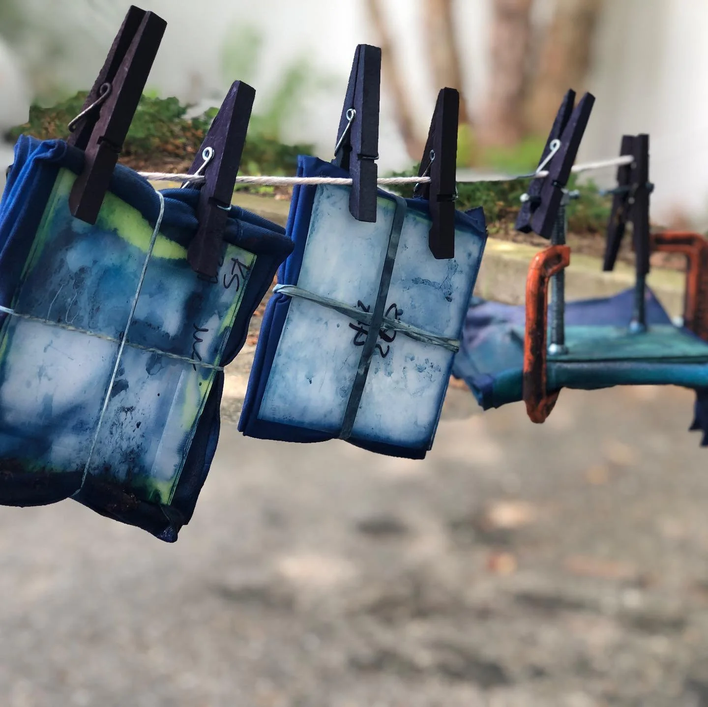 Indigo 2.0 with The Indigo Squirrel (Sept 19)