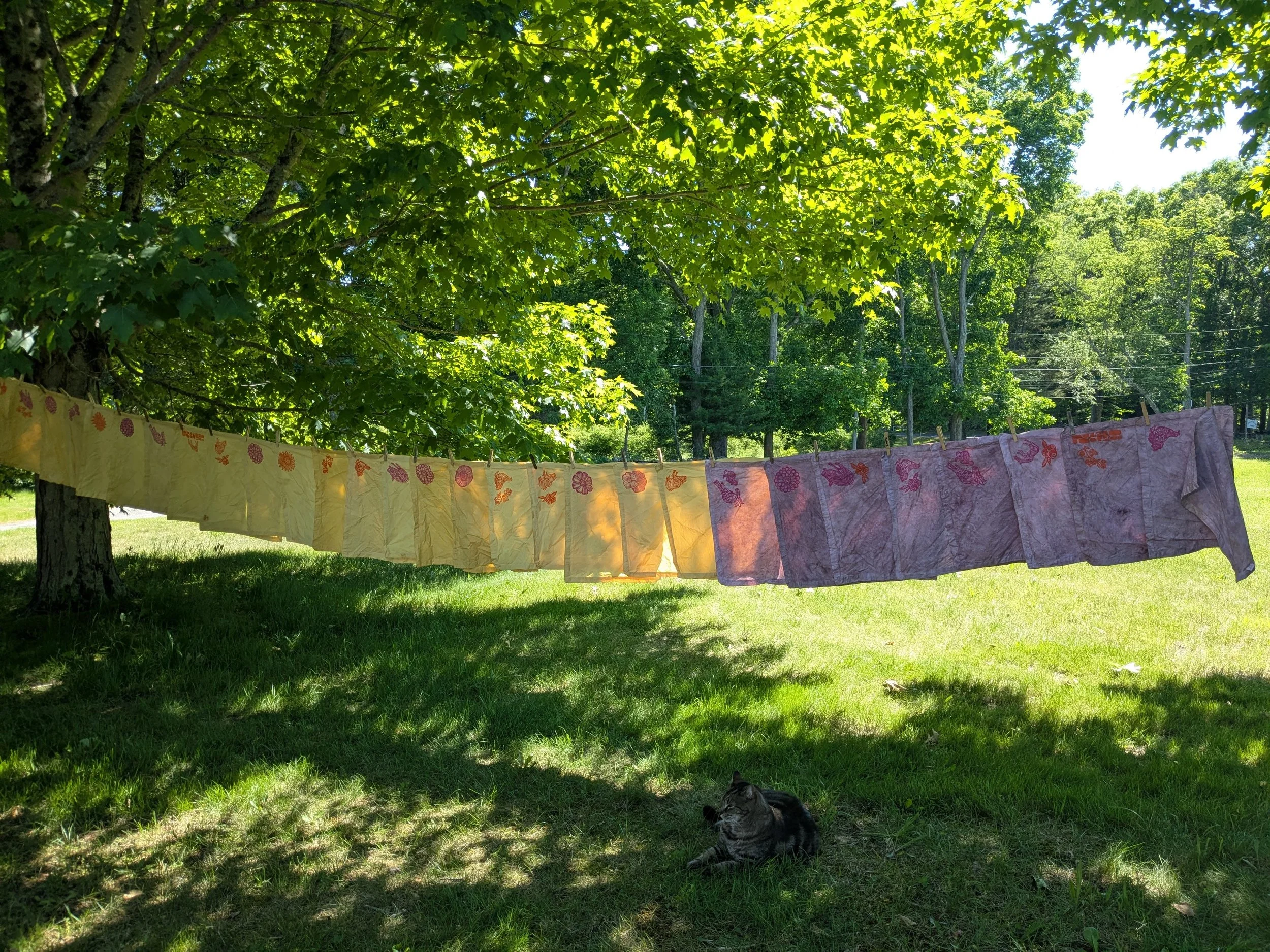 PXL_20260608_191439631.jpg
