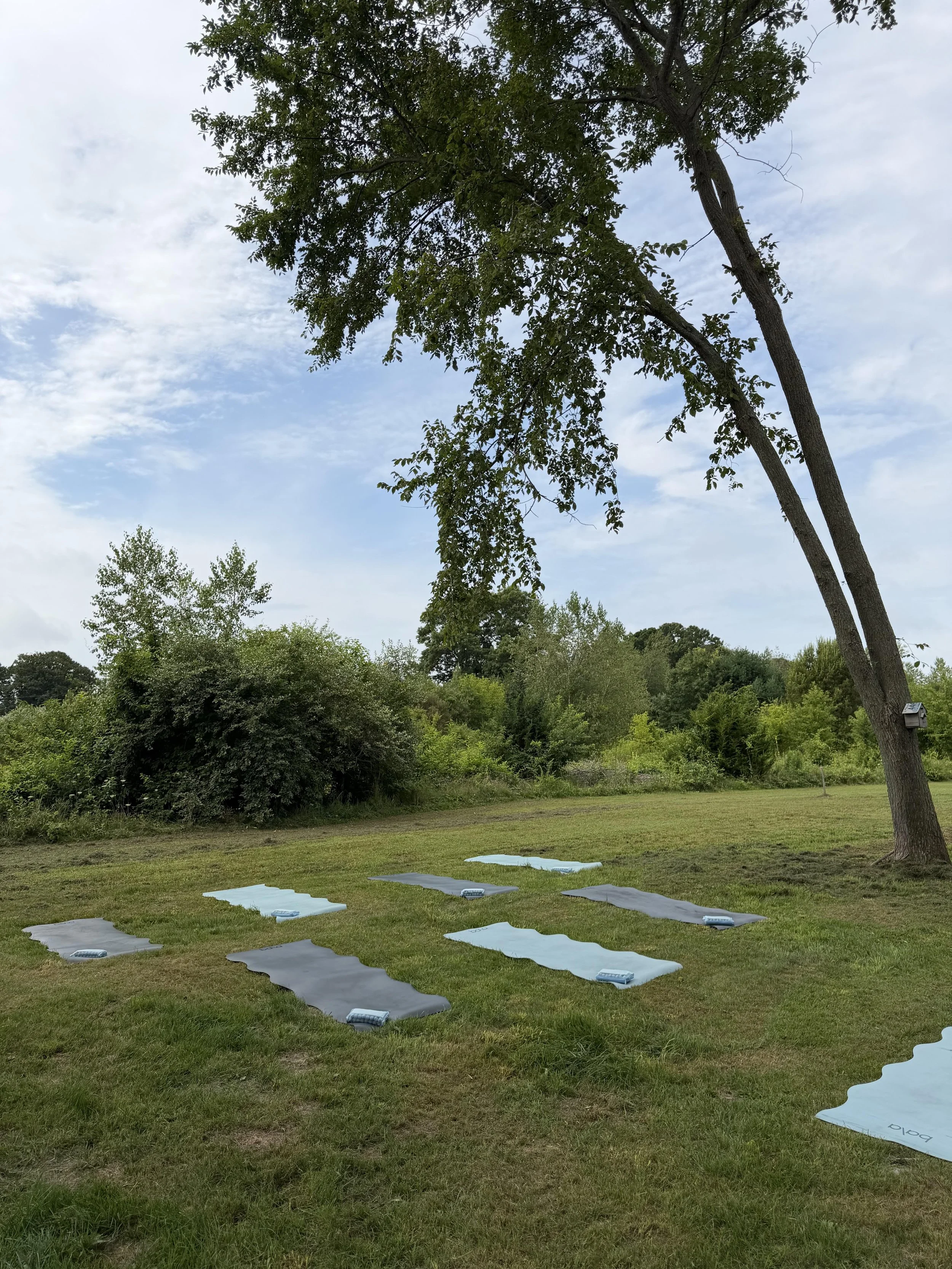 butter yoga.jpg