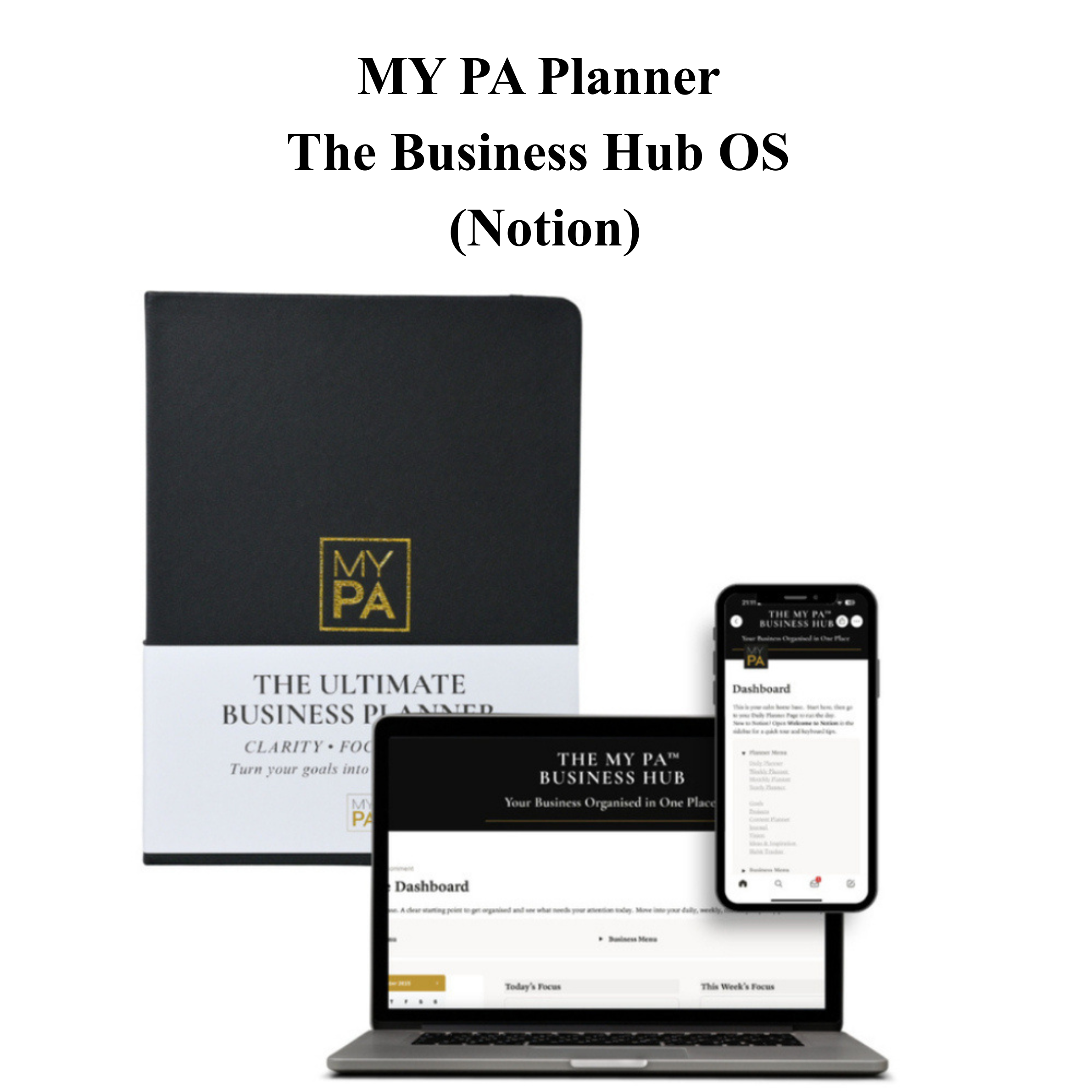 Notion Small Business system.png