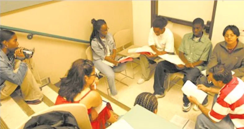 Institute for Democracy Education and Access summer seminar 2002.