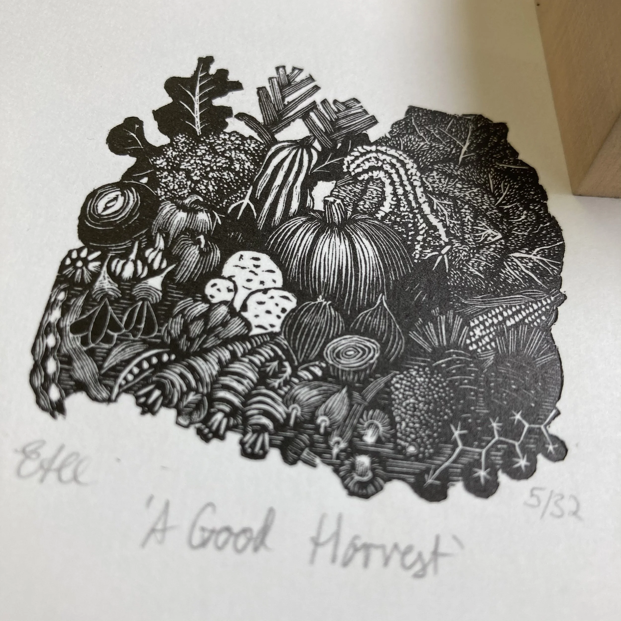 Harvest 4.jpg