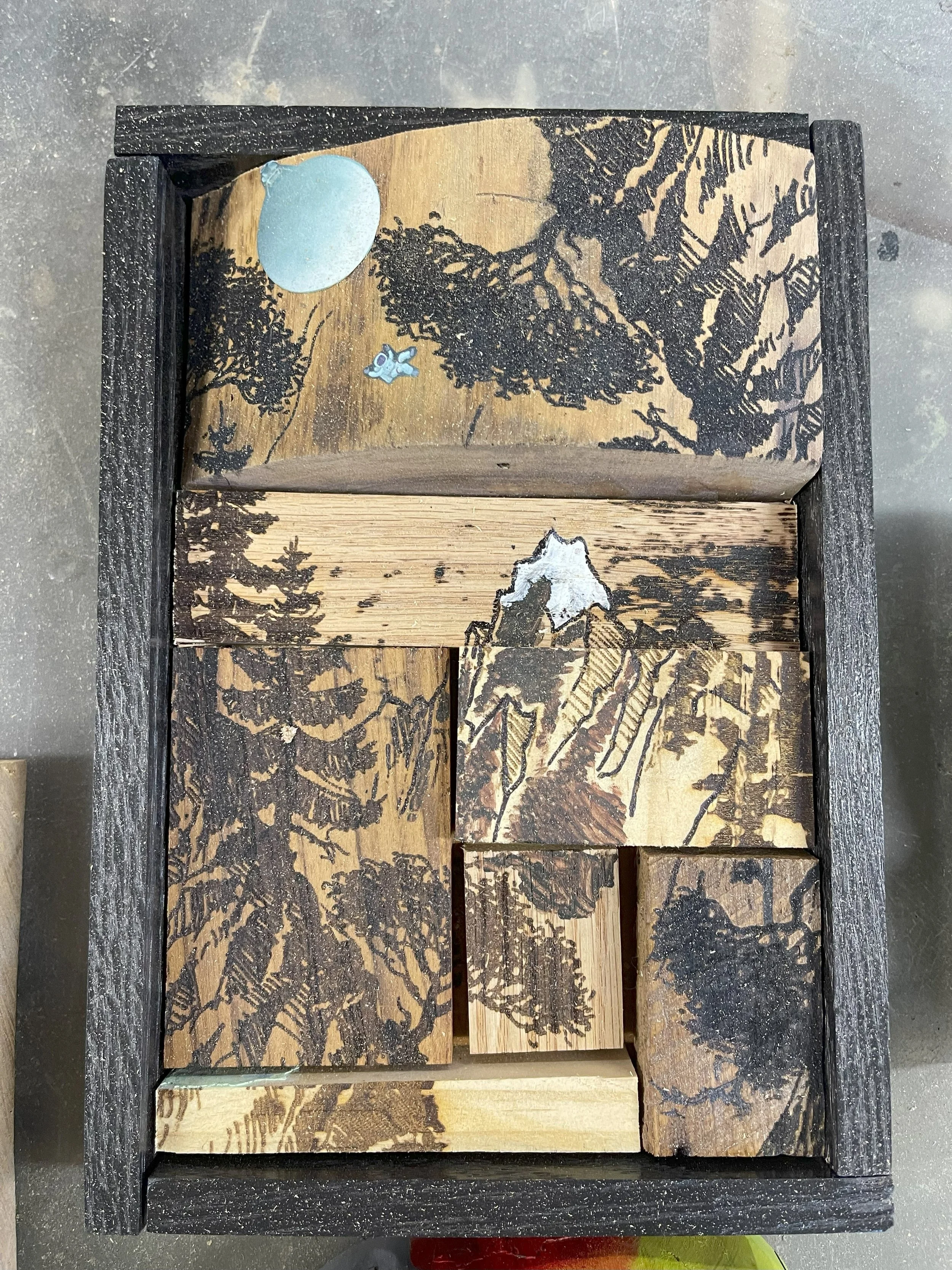 If an Astronaut falls in the woods.....jpg