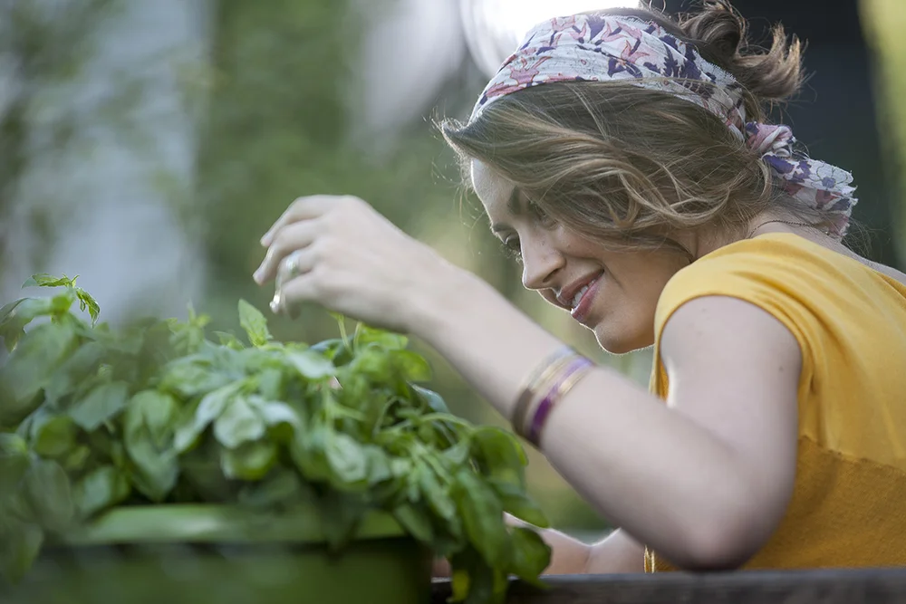 TVSpring14_Basil_0461.jpg