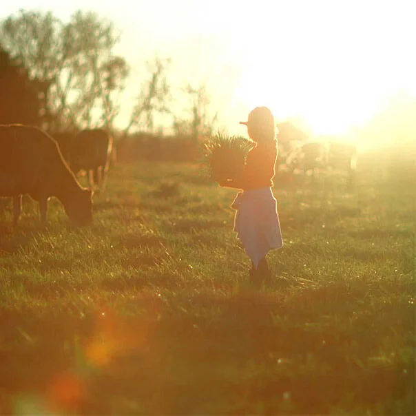 ORGANIC VALLEY