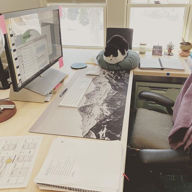 I started working for myself so I wouldn&rsquo;t be micro-managed and well...here we are 🙄😻 #mycoworkerisacat #hoveringartdirectors