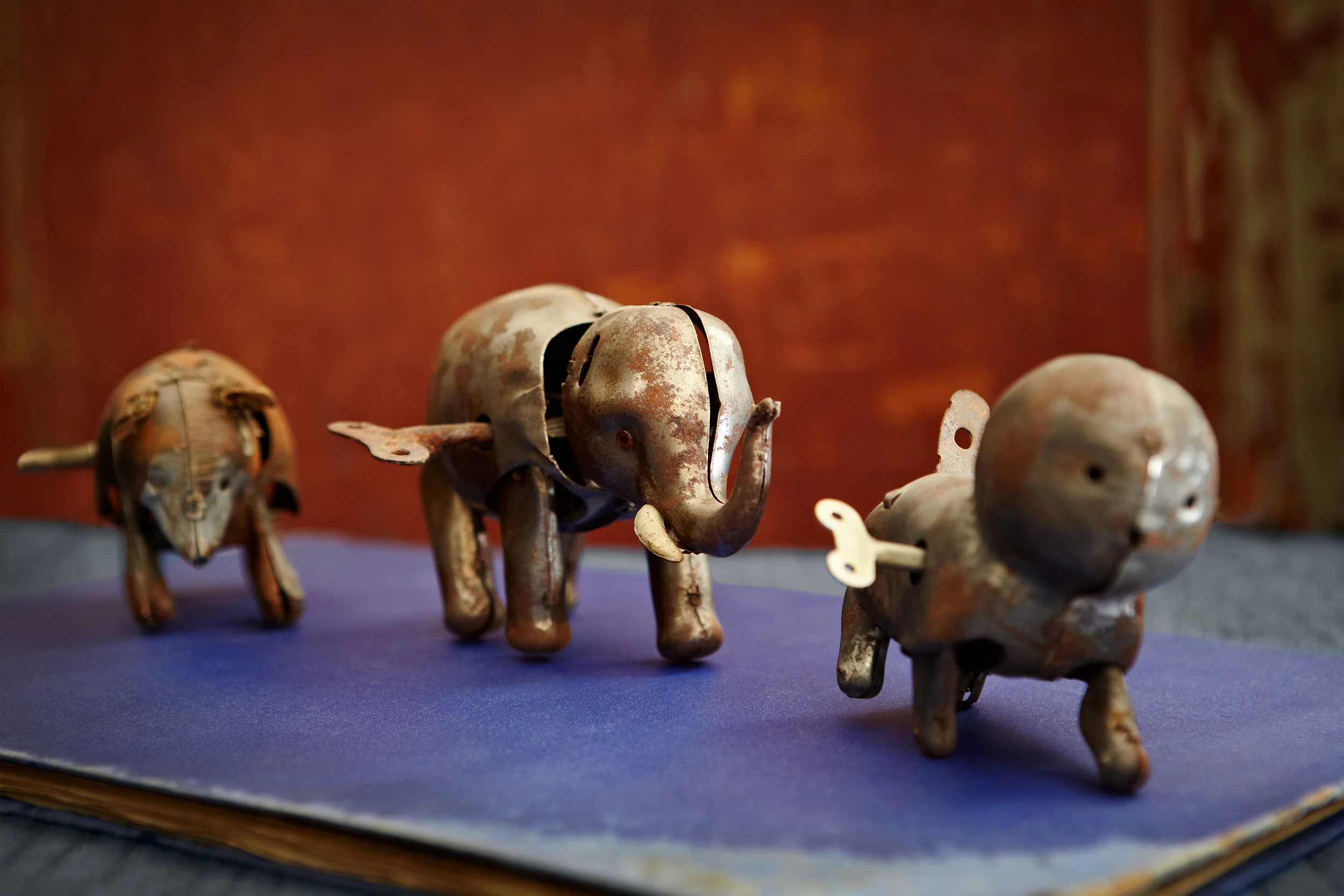 Ian_Stout_Photo_Lisa_Wood_Curiosities_toy_elephants.jpg