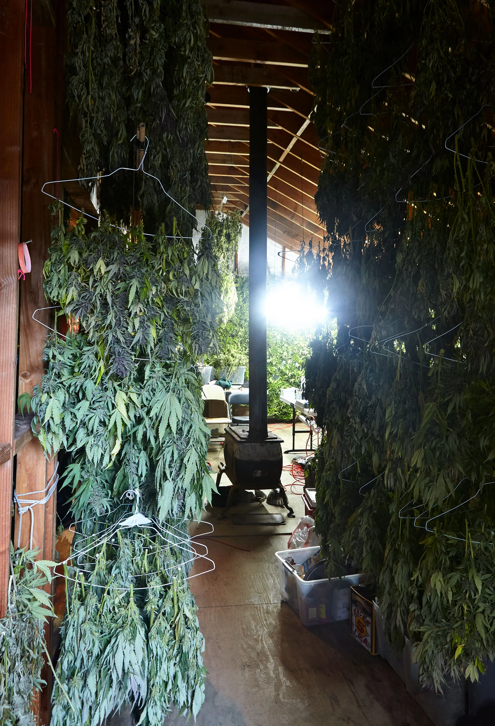 Ian_Stout_Photo_Drying_Shed_2.jpg