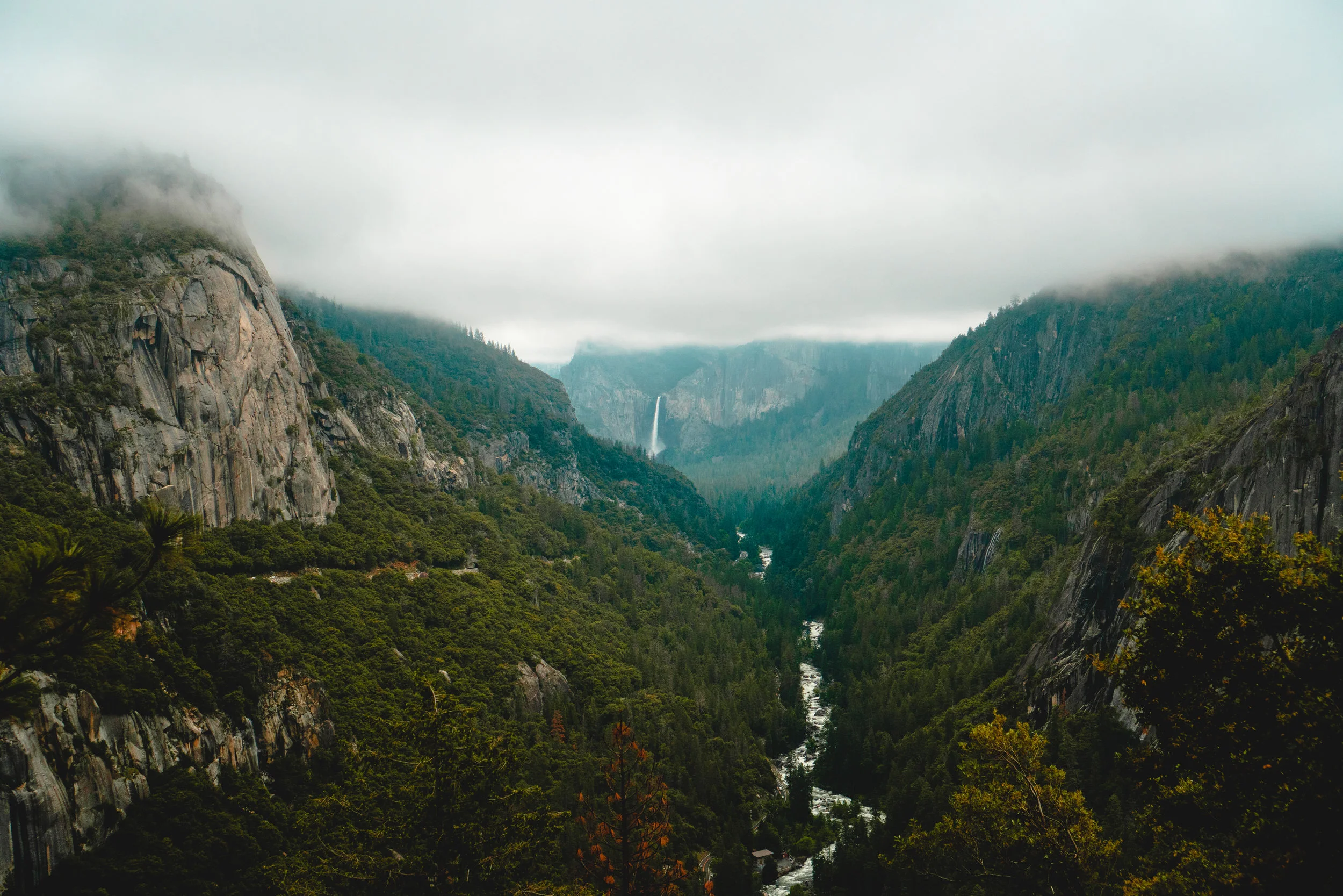 California 2019-50.jpg