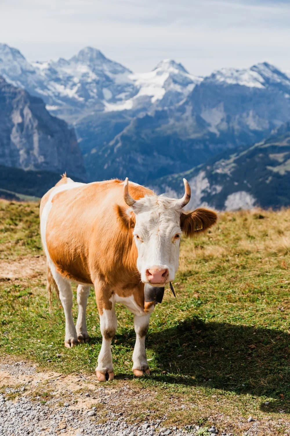 Guide to the Lauterbrunnen Valley, Switzerland