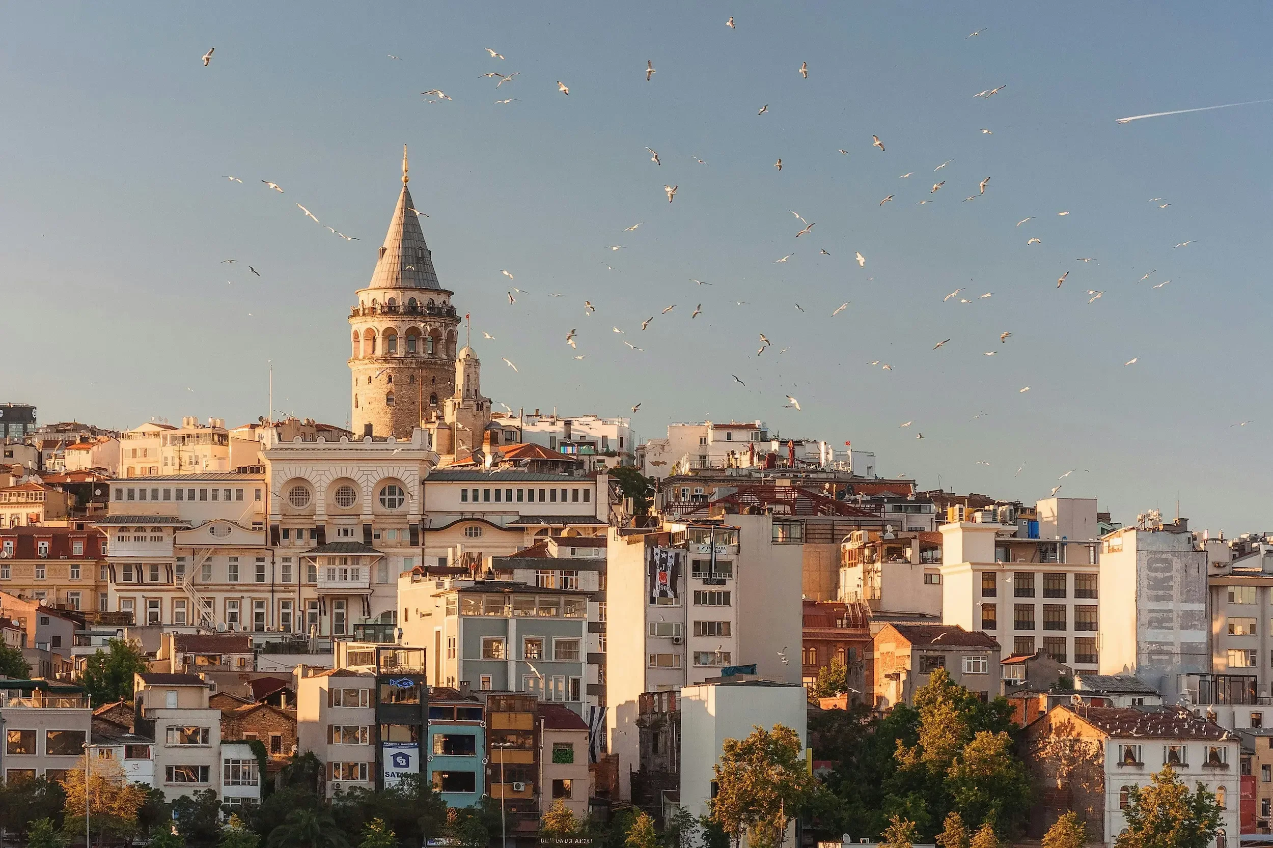 Seagulls flying over the skyline of Istanbul with the Galata Tower