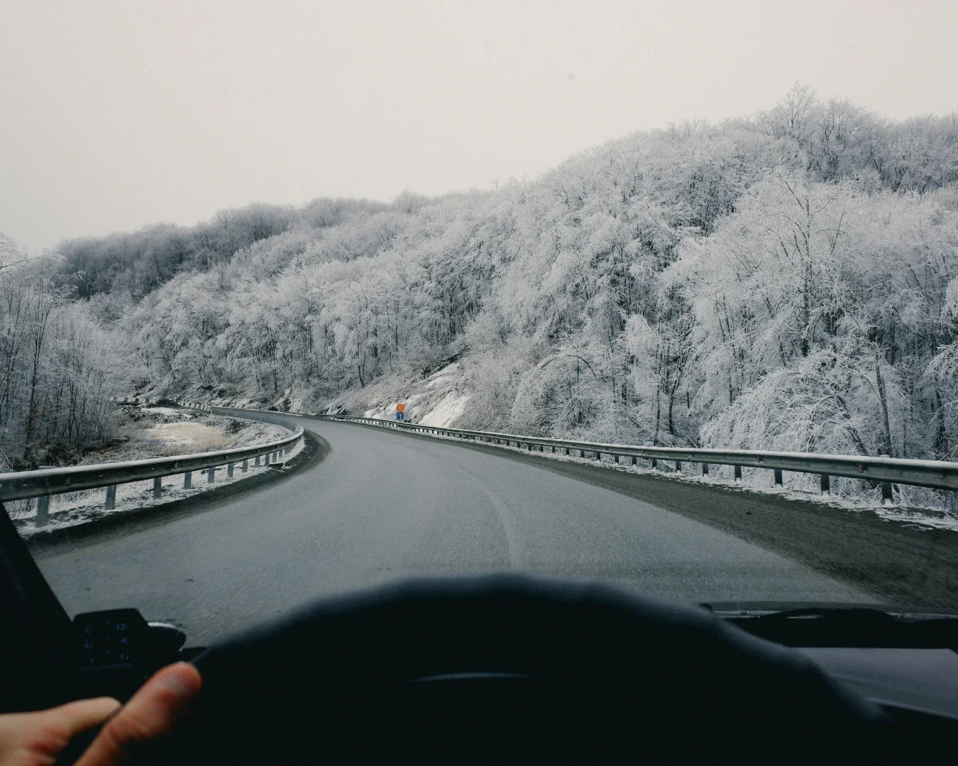 Driving POV on a snowy day, road lined with snow-covered trees