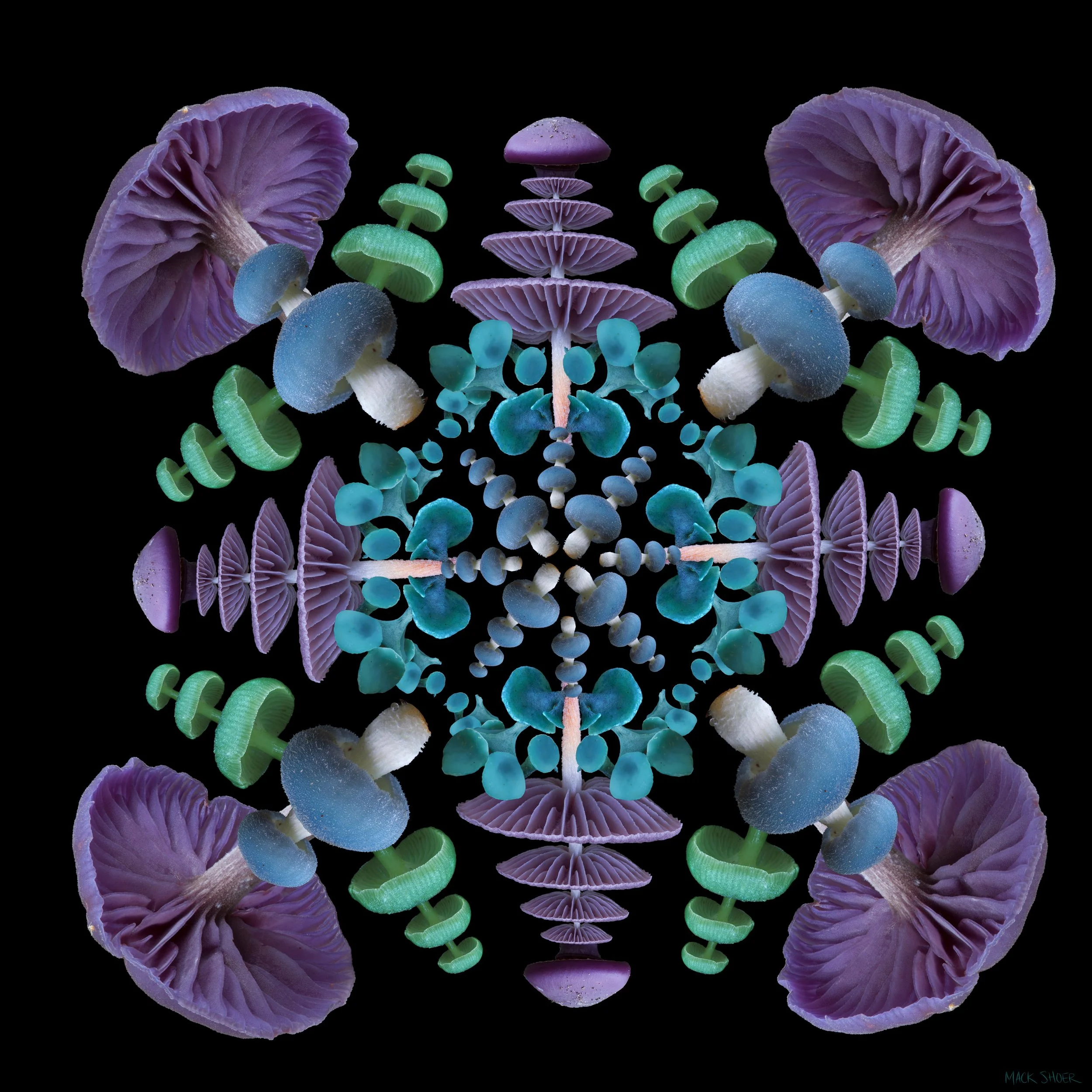 Mandala B_2.jpg