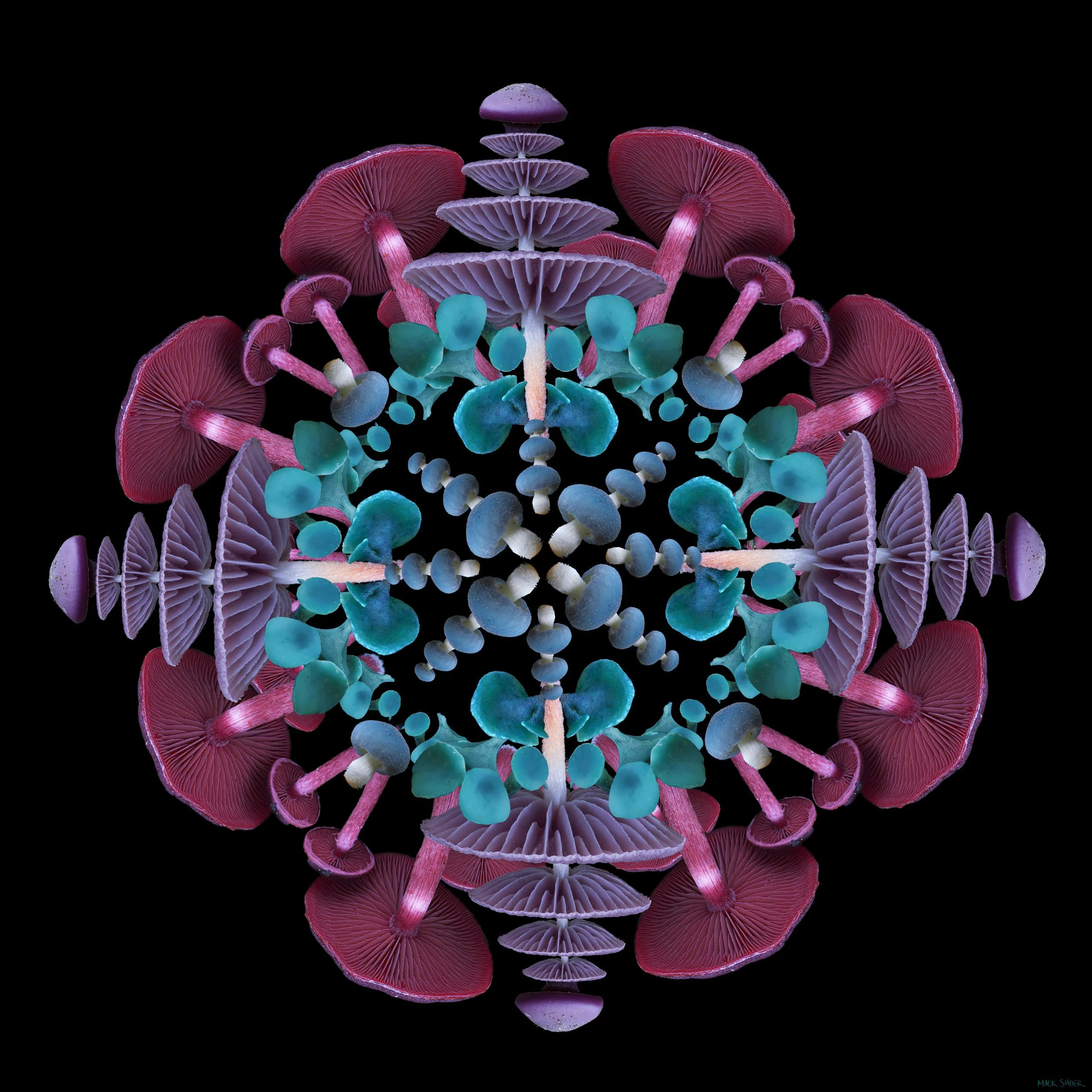 Mandala B_3.jpg