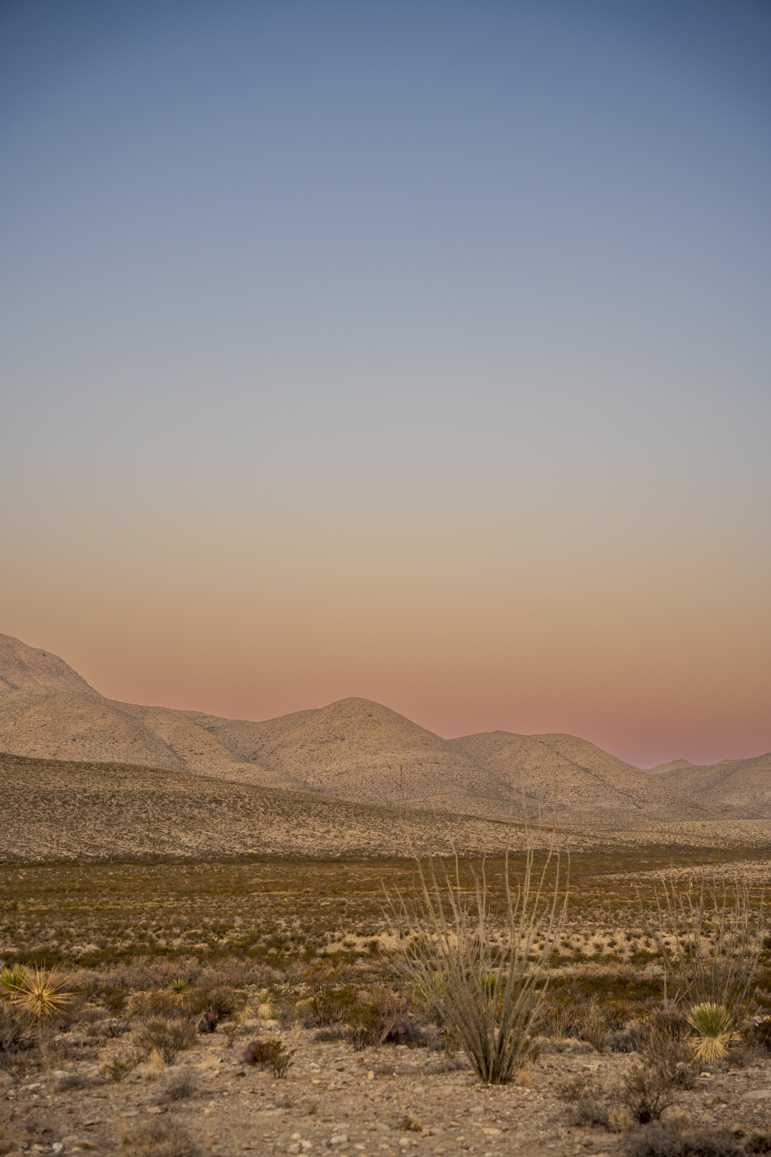 _DSC4575.jpg