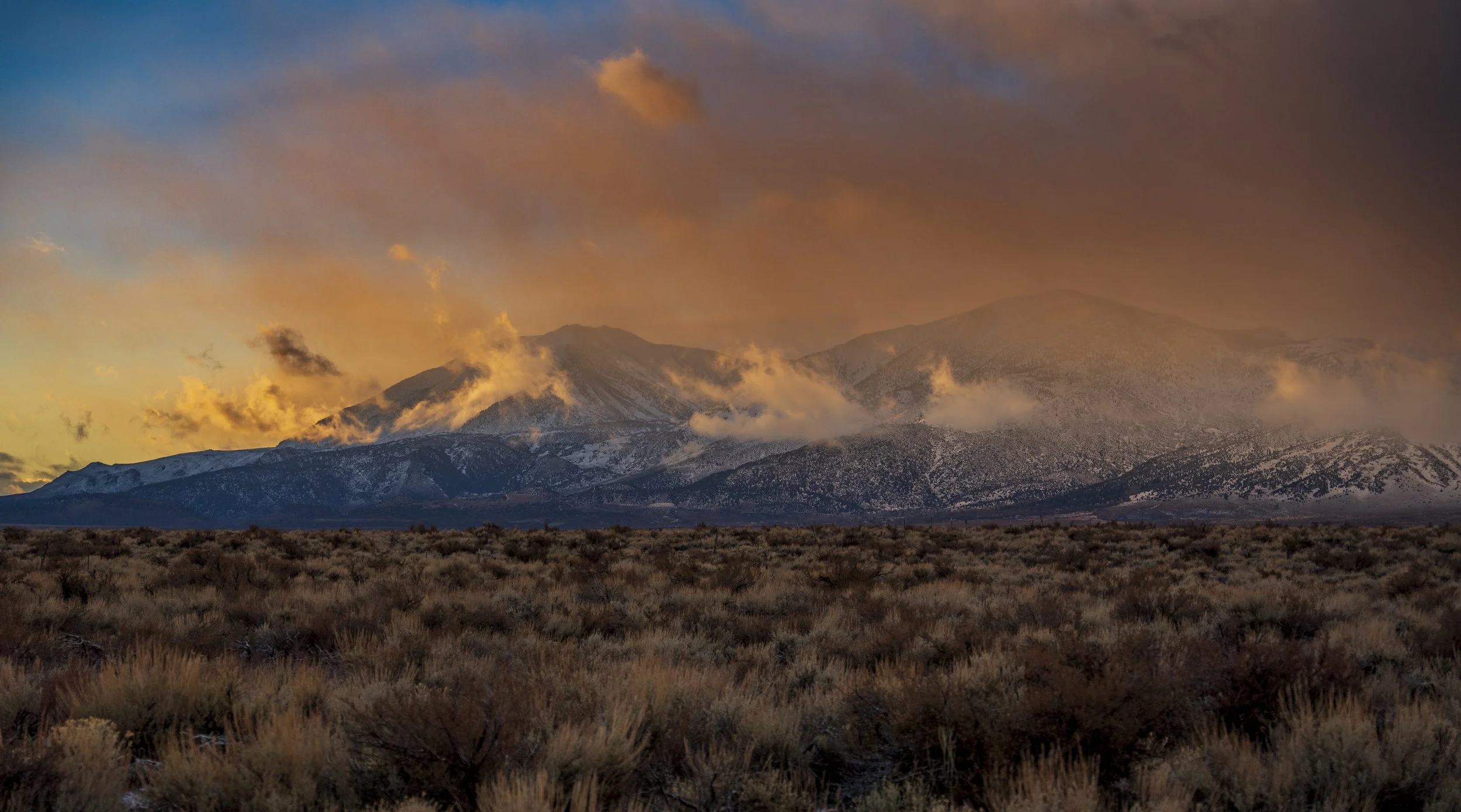_DSC5250.jpg