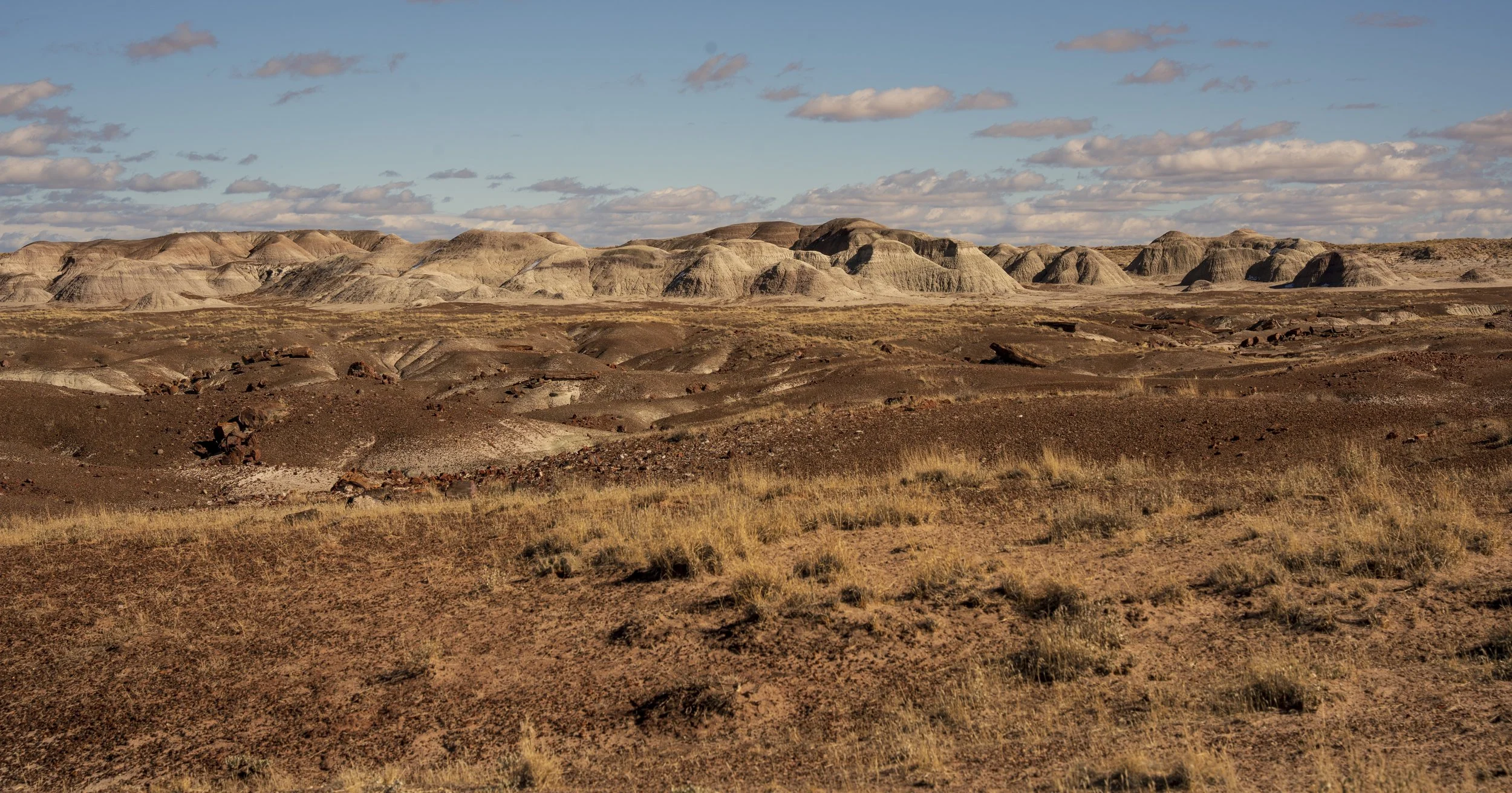 Petrified Forest Scenic Drive