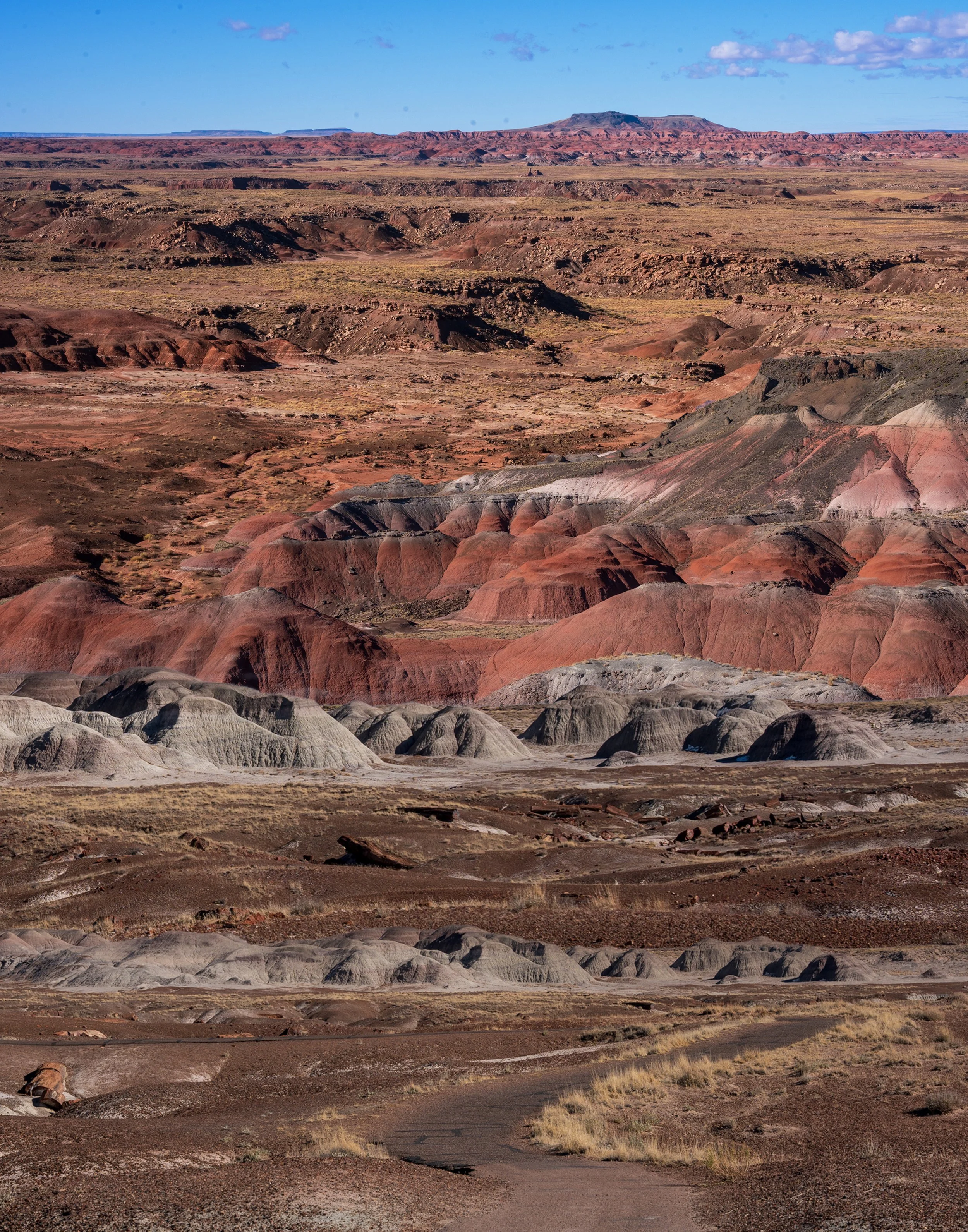  A collage of photos taken from a trip through the desert. Petrified Forest National Park.  