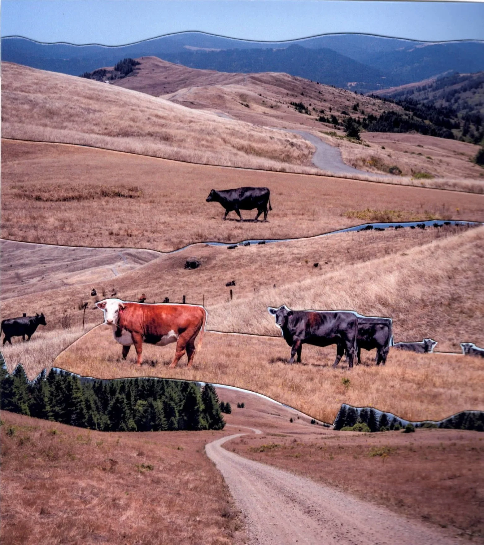 BearRiverRidge-1.jpg