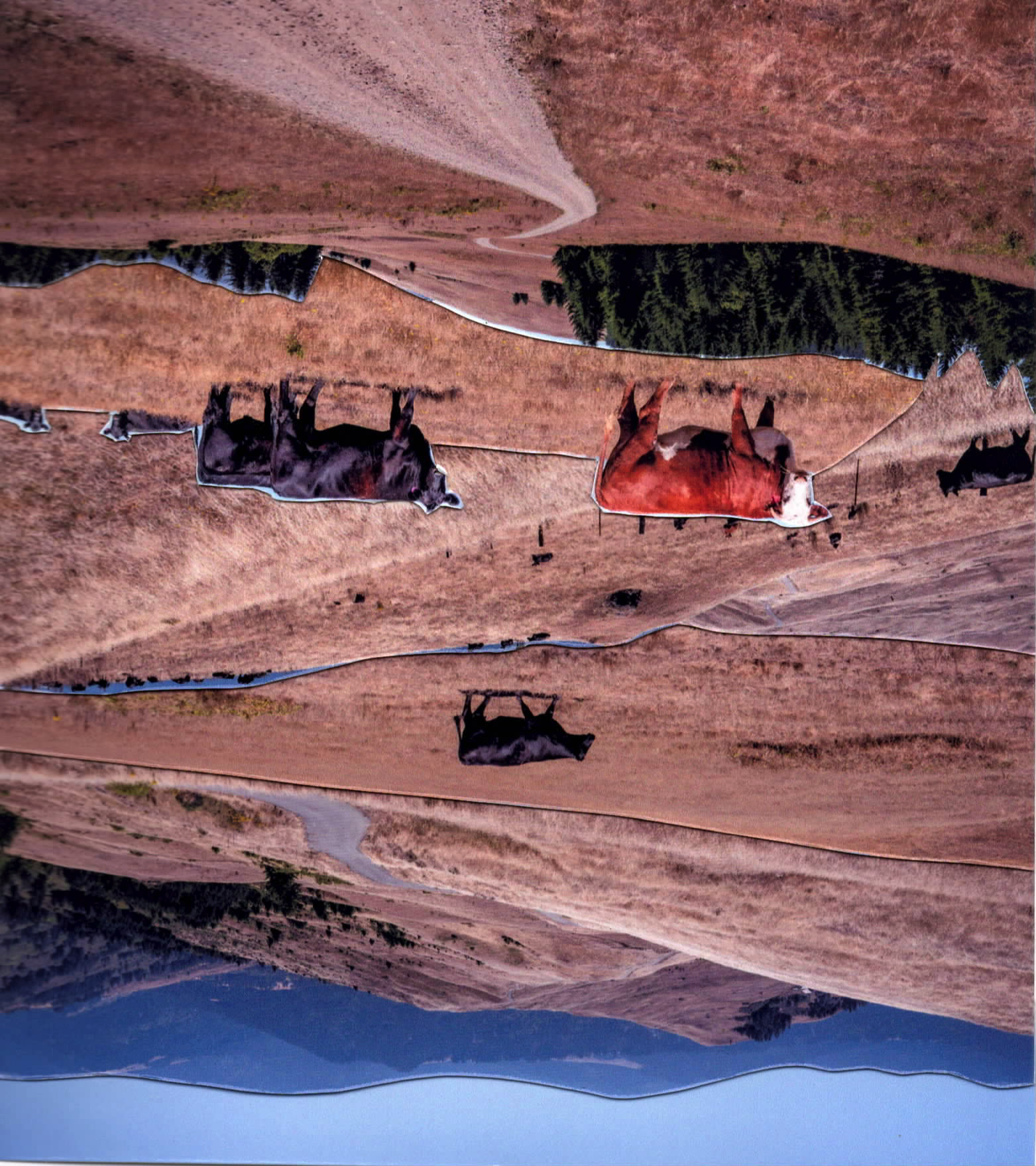 BearRiverRidge-1.png