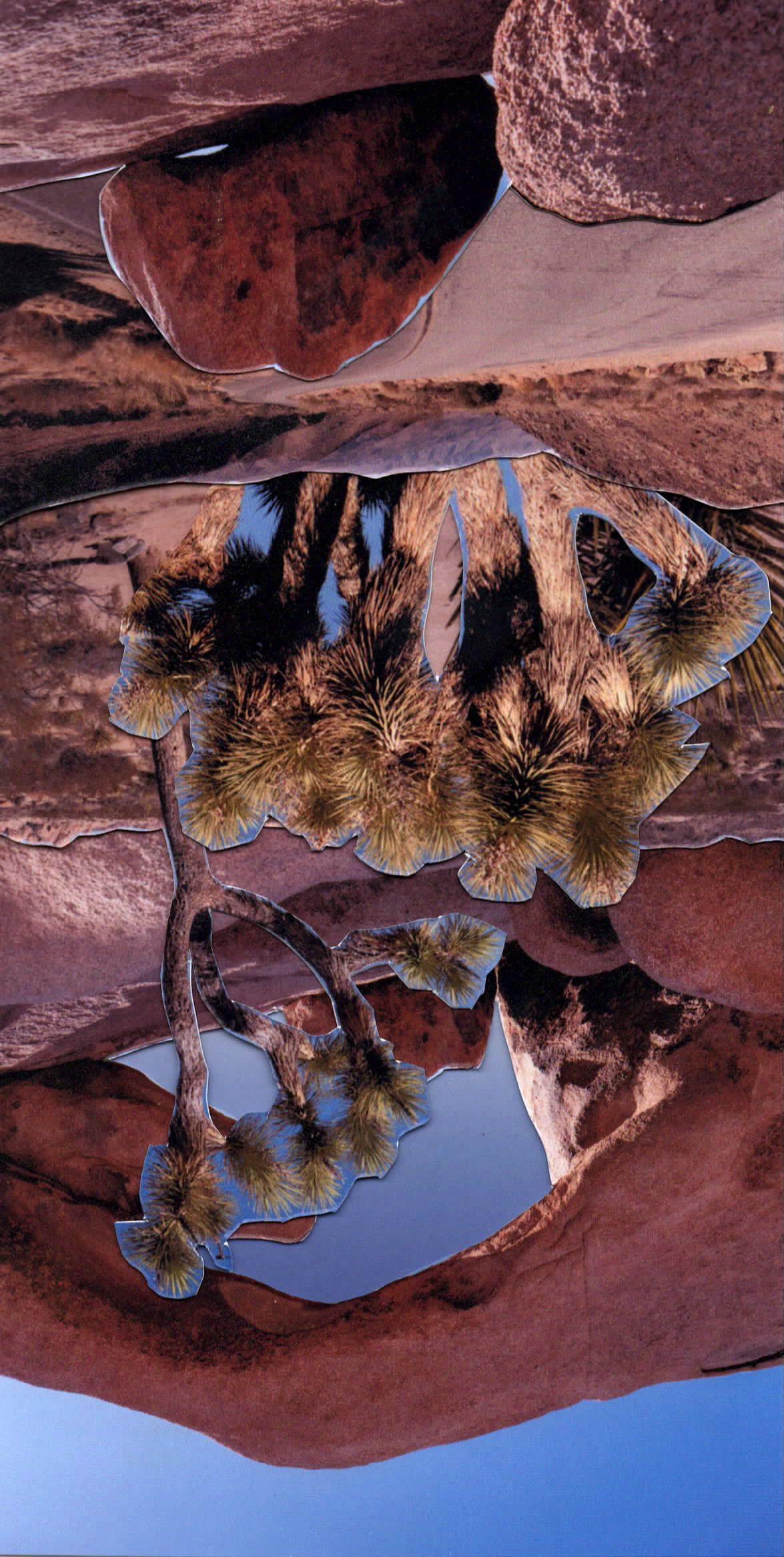 JoshuaTree-1.2.png