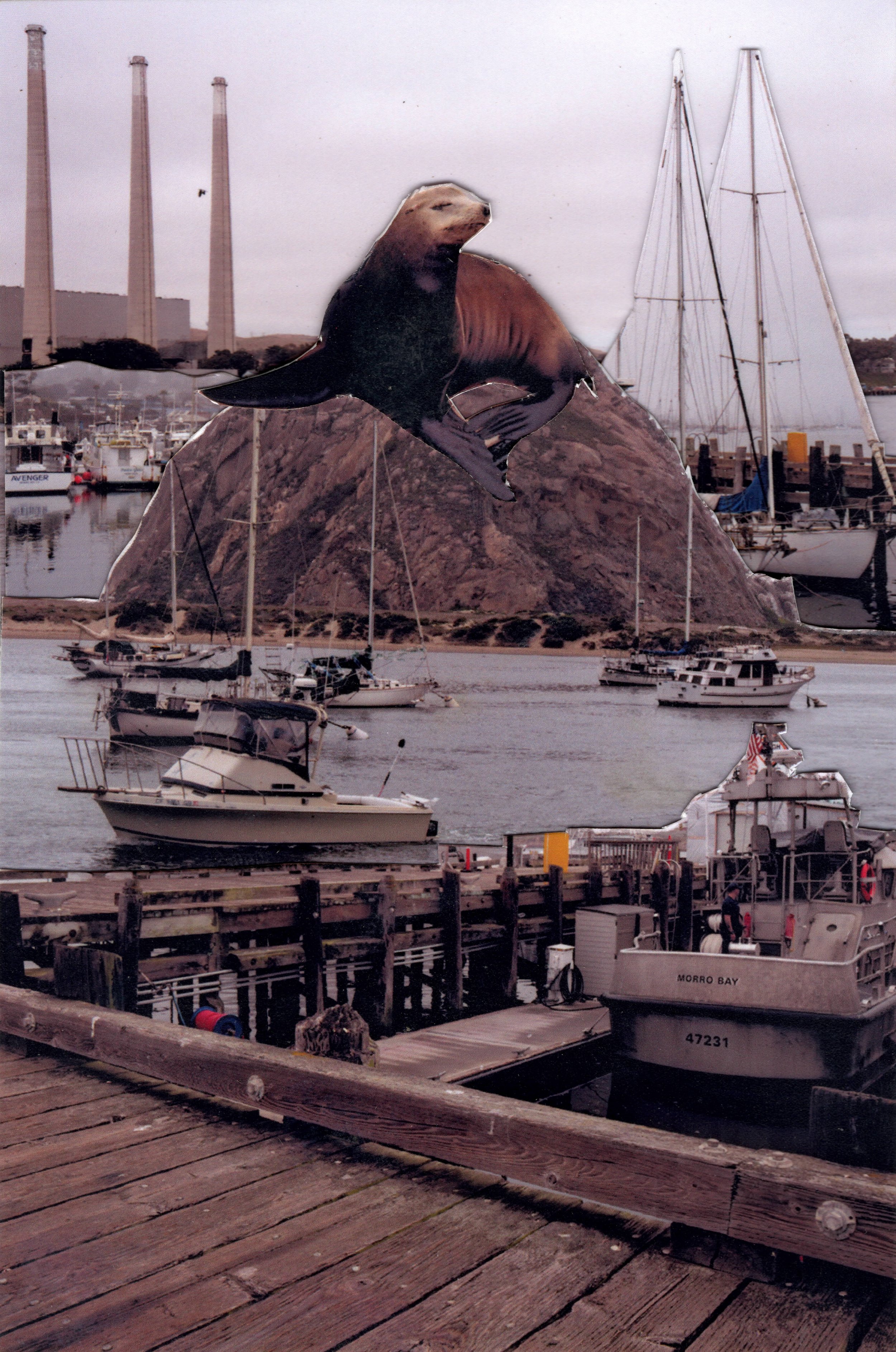 Morro Bay Variation