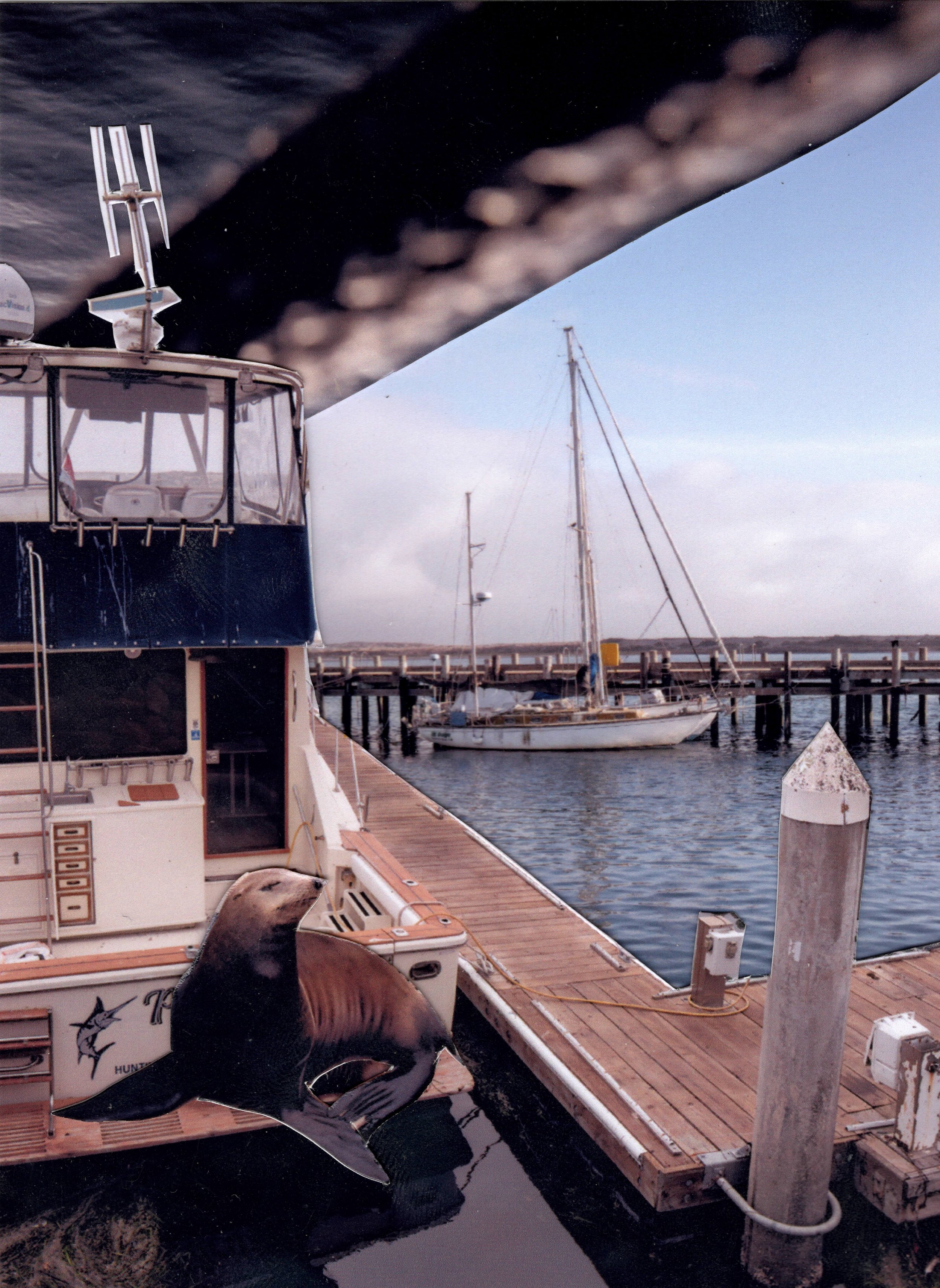 Morro Bay Variation
