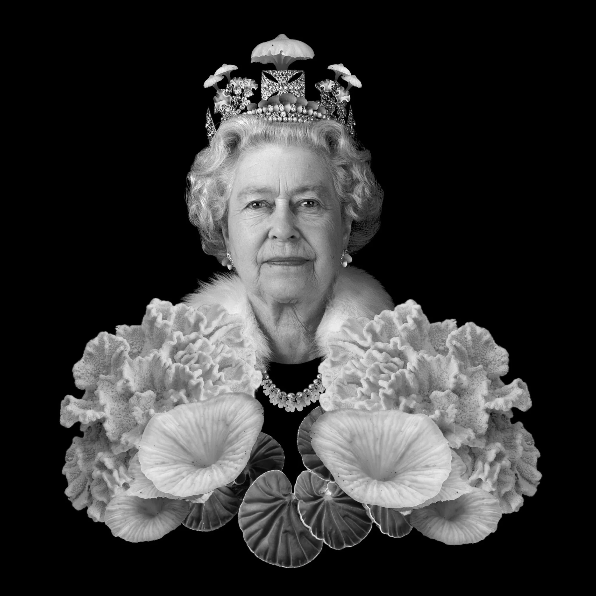 The Queen XL.jpg