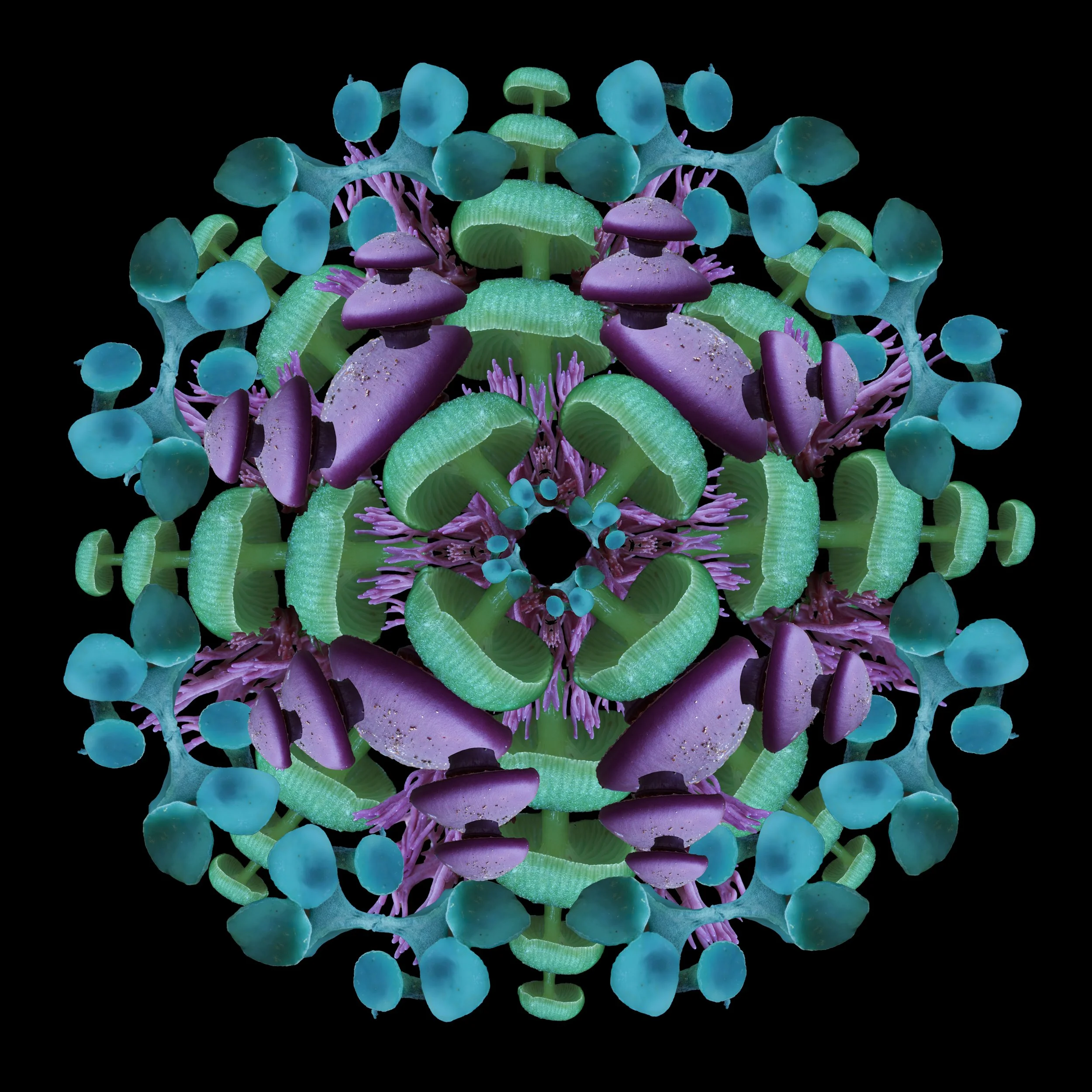 Mandala B_5.jpg