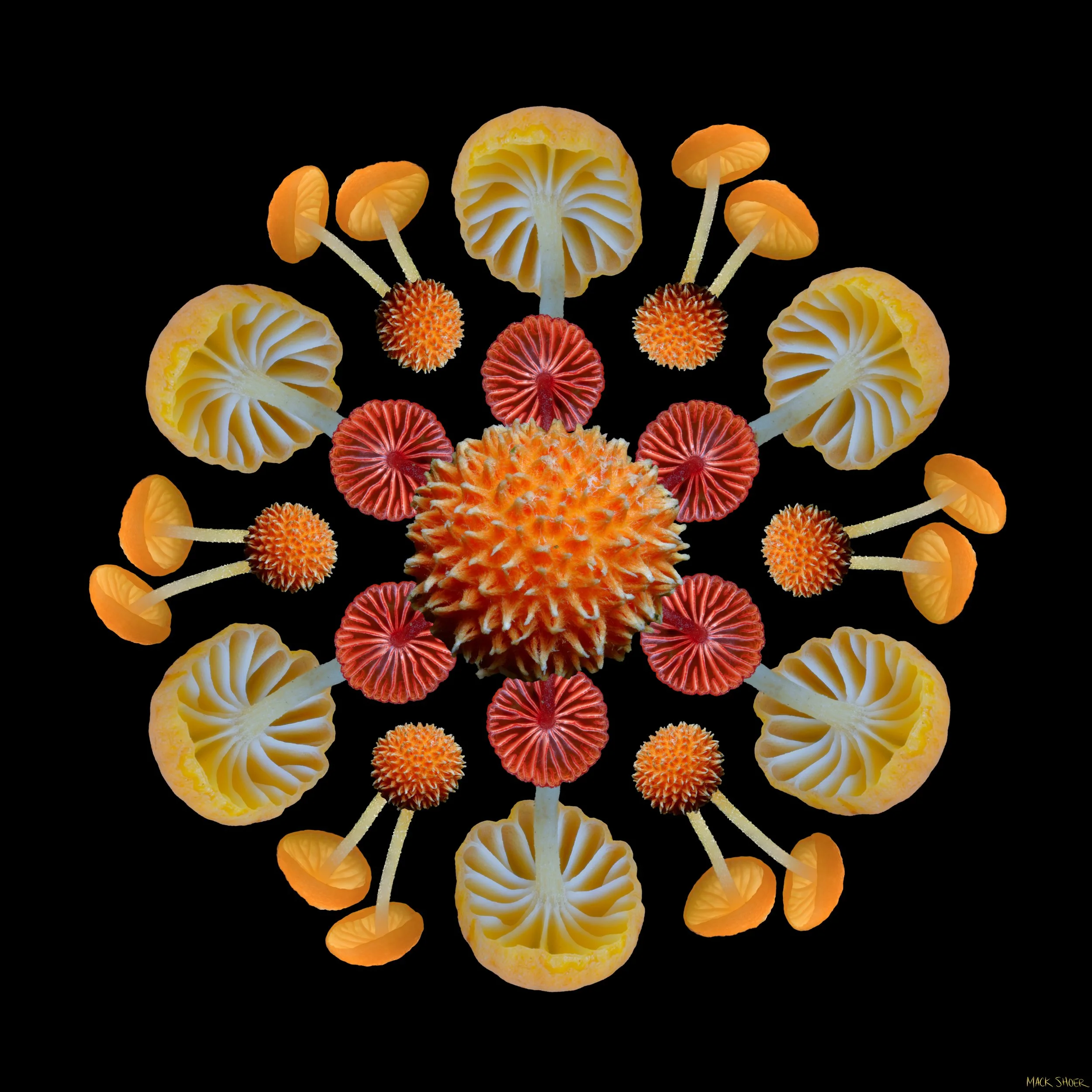 No Lama Mandala B_2.jpg