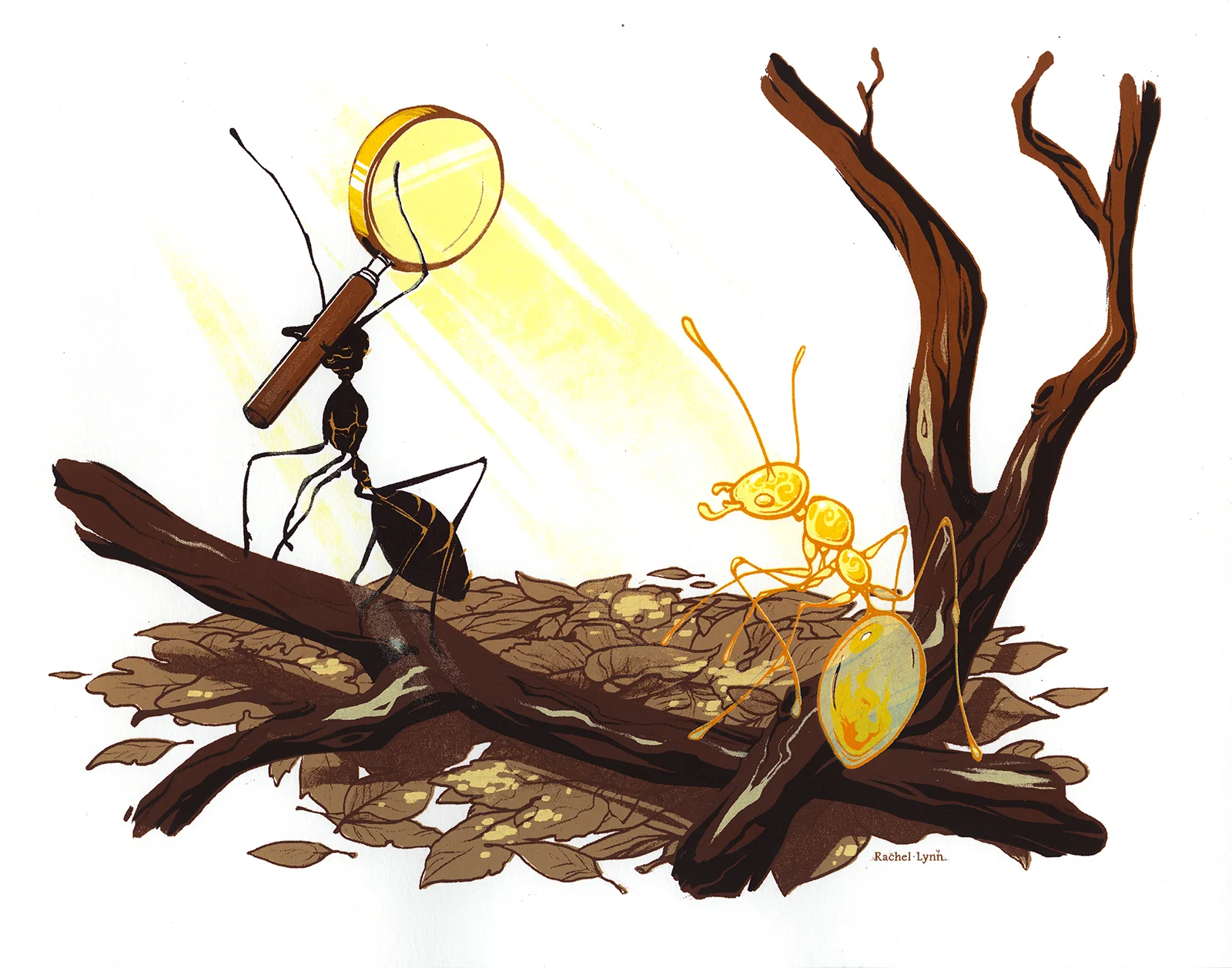 Fire Ants
