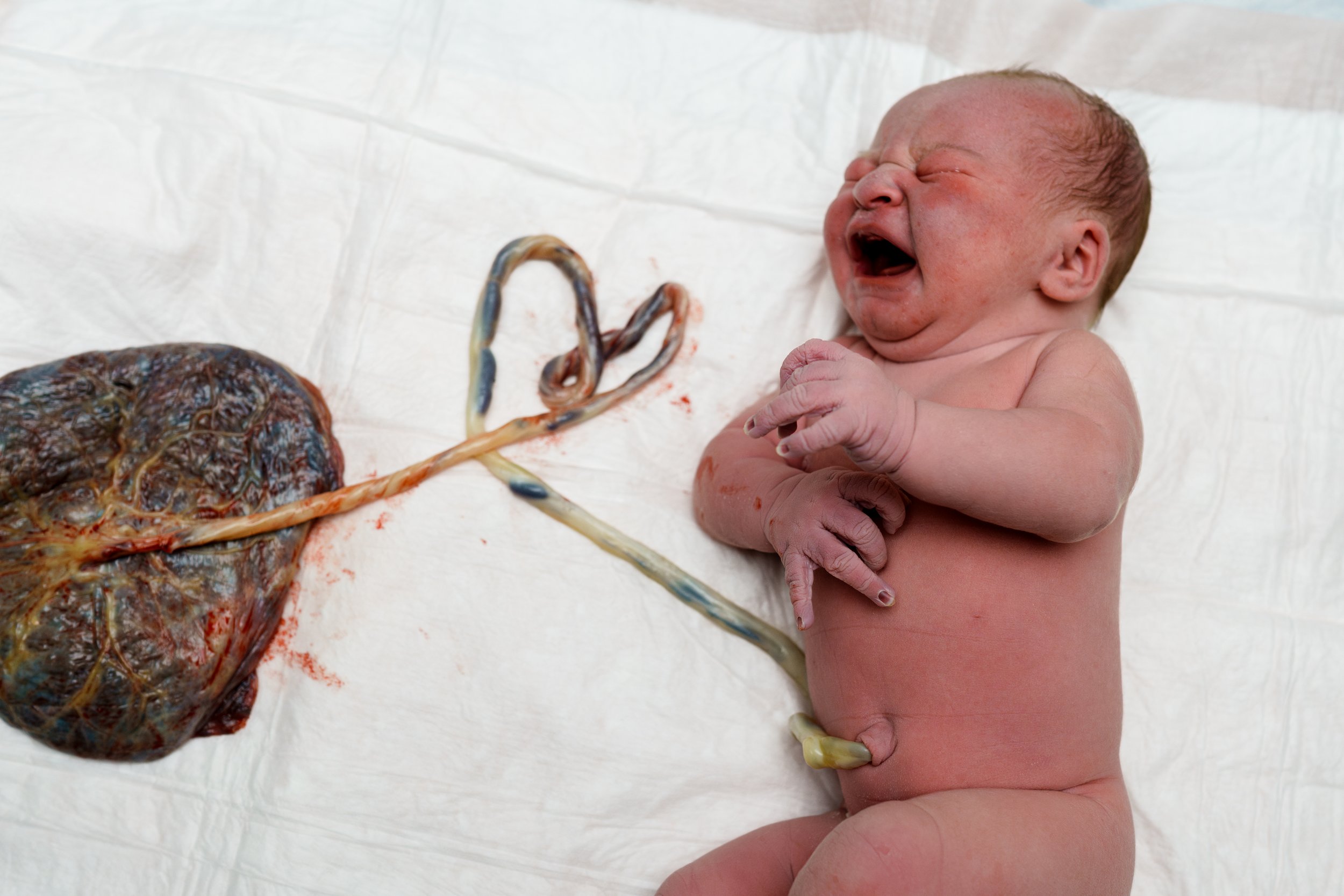 Professionalism &amp; Grace